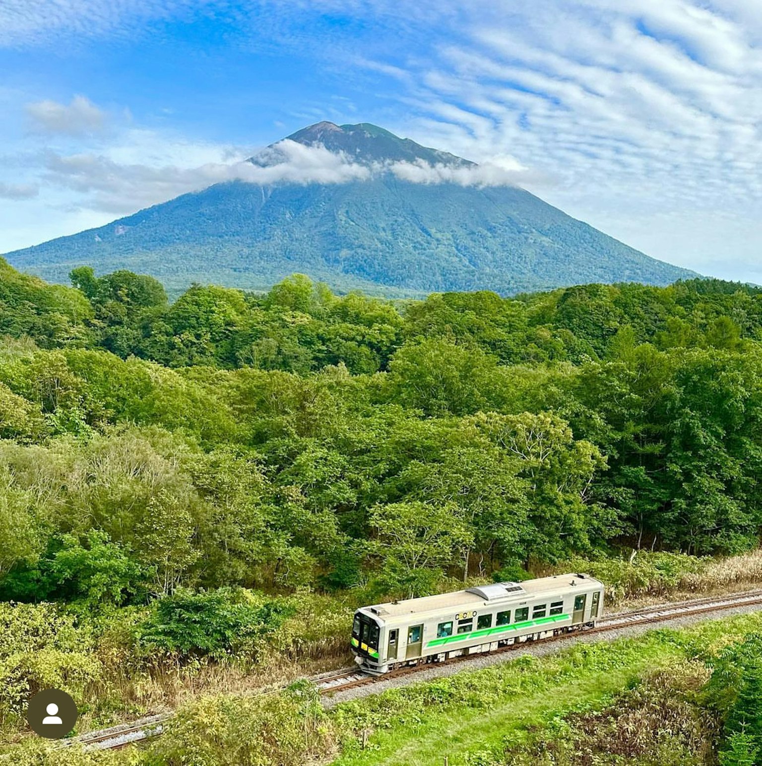 Treno che attraversa una foresta verdeggiante con sfondo montagnoso