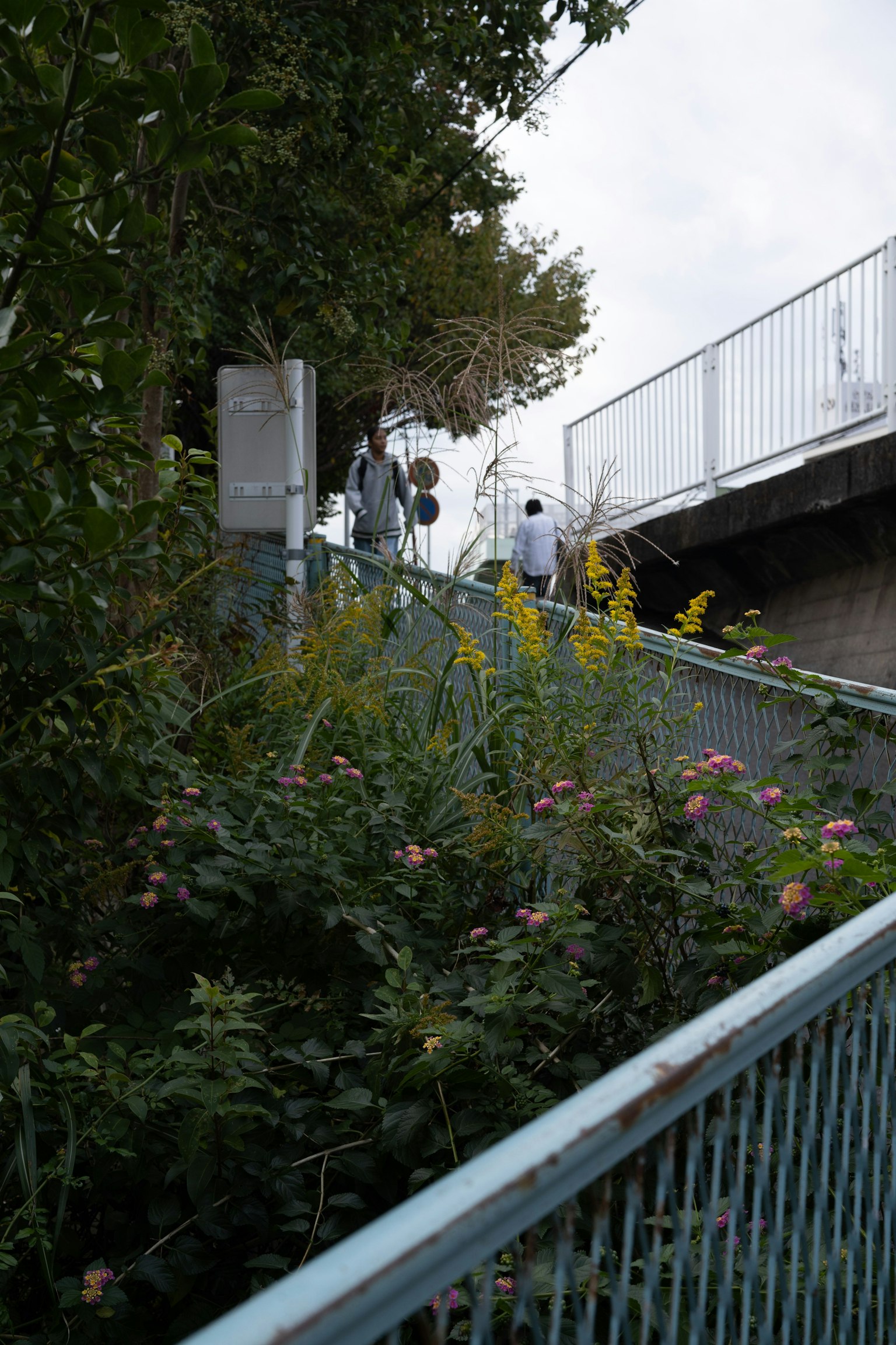 People walking up a staircase surrounded by lush greenery and flowers