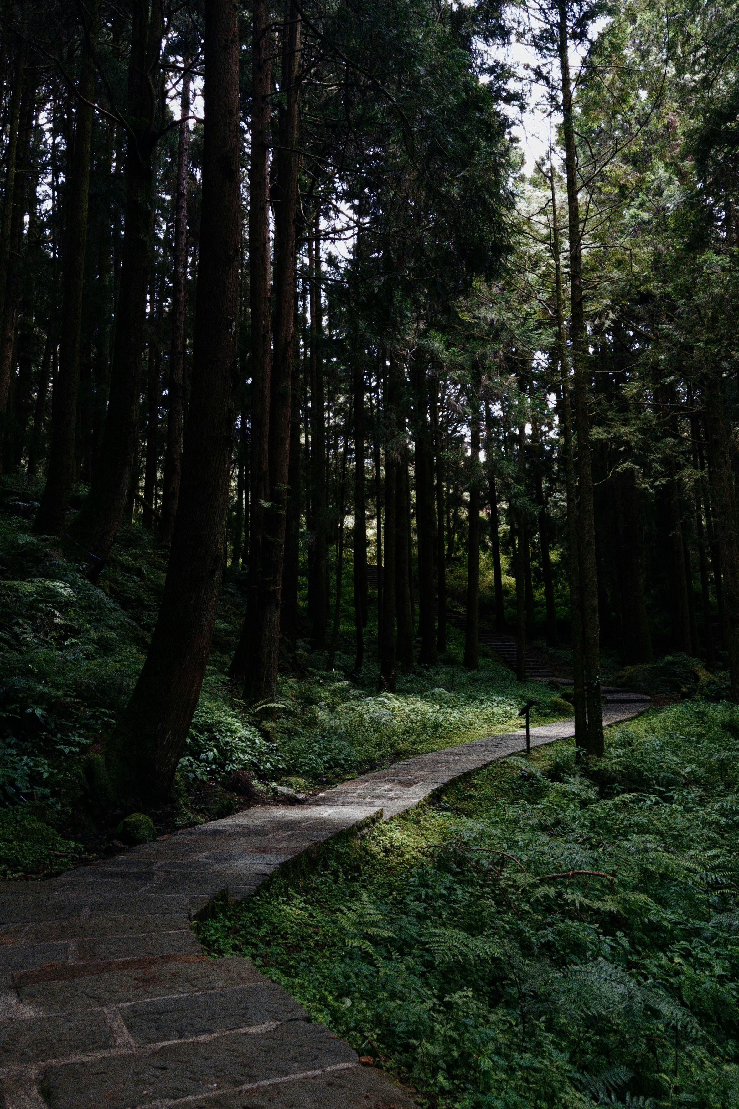 photo-q0BPLBV9mErZfhIxZk7p-image