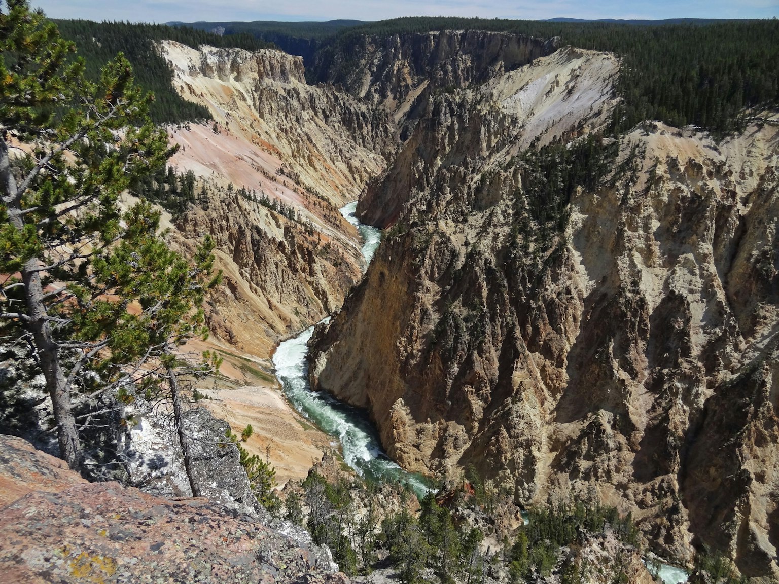 Pemandangan indah Taman Nasional Yellowstone dengan sungai dan ngarai