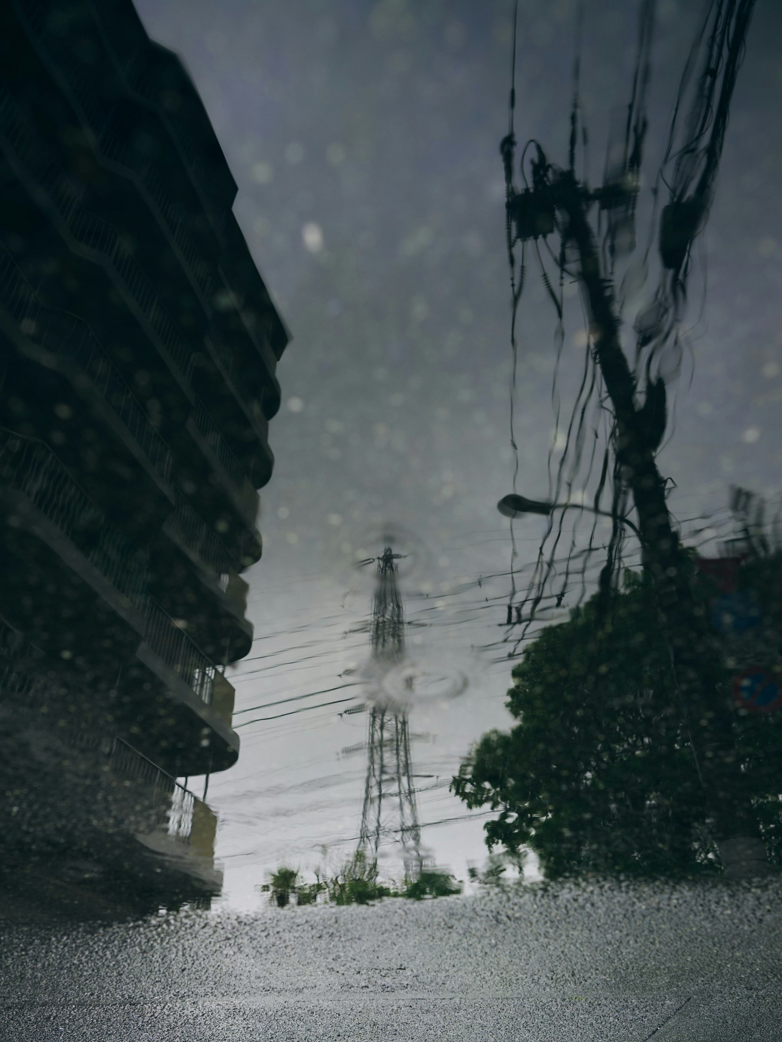 雨上がりの水たまりに映る鉄塔と建物の写り込み