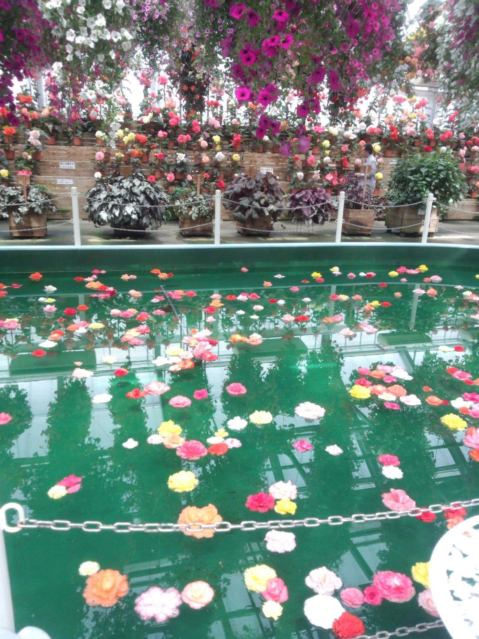色とりどりの花が並ぶフラワーアレンジメントと花壇の展示