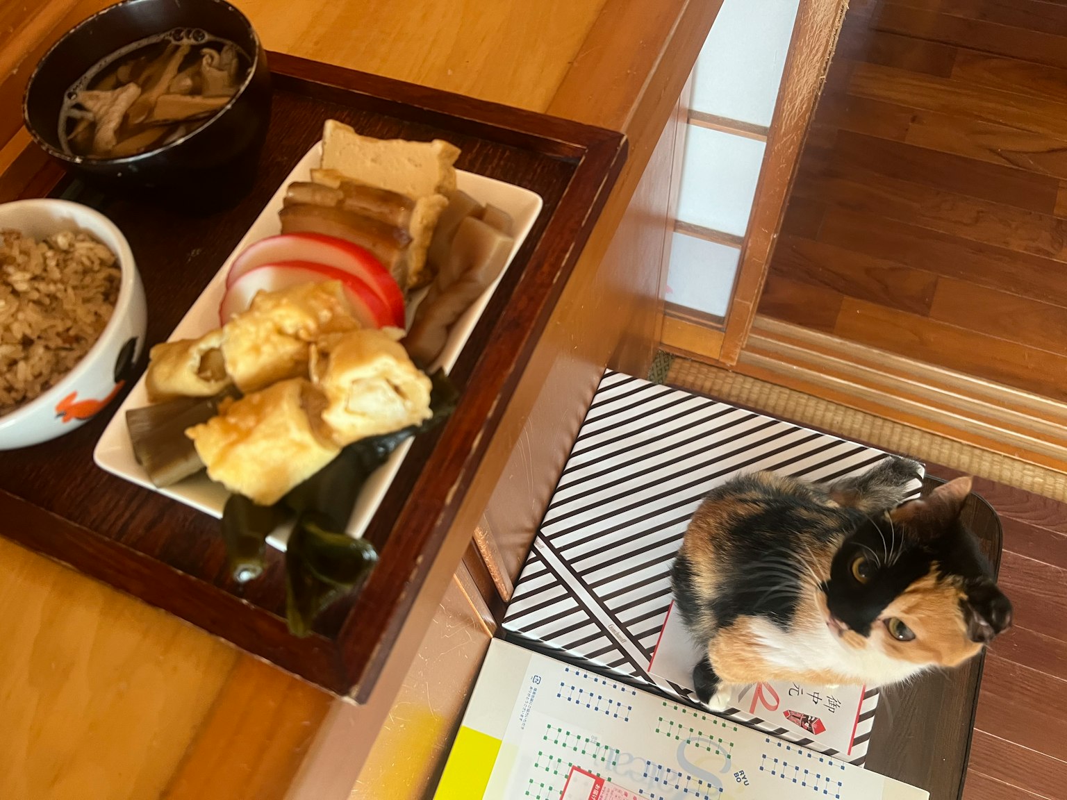 Japanisches Essensarrangement mit einer Katze auf dem Tisch