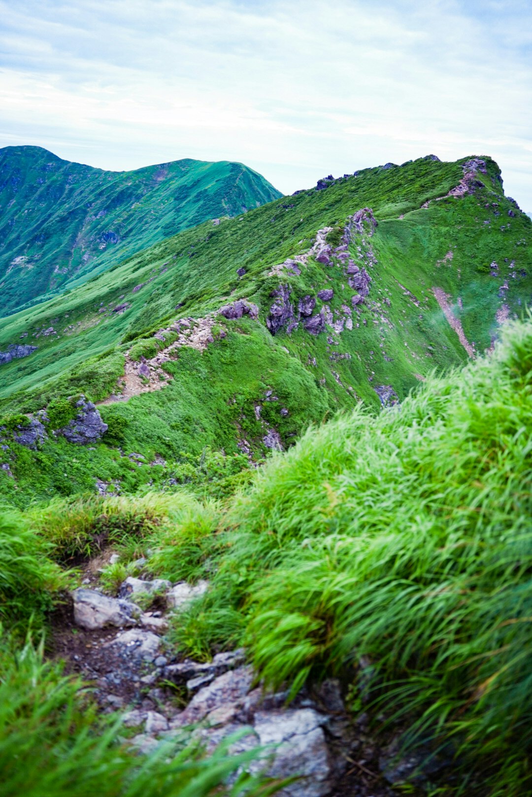 緑の山稜と岩の登山道が続く山岳風景
