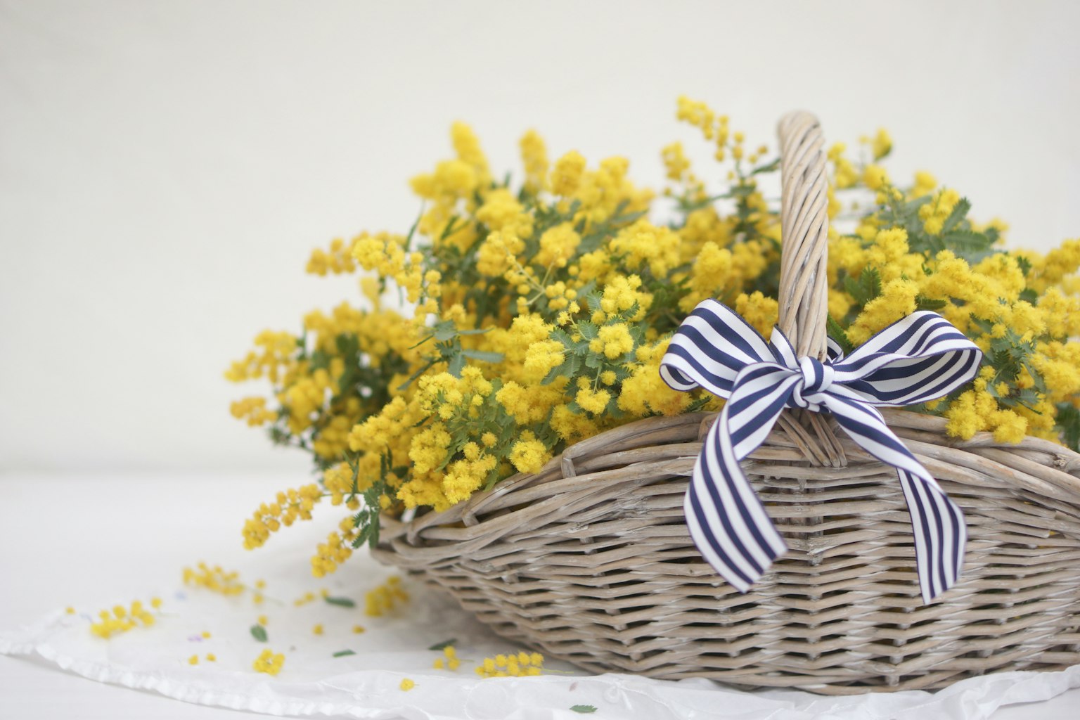 Ein Korb voller gelber Blumen, geschmückt mit einem gestreiften Band