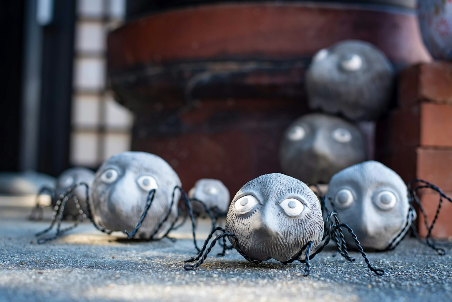 Piccole creature simili a pietre con volti unici disposte a terra