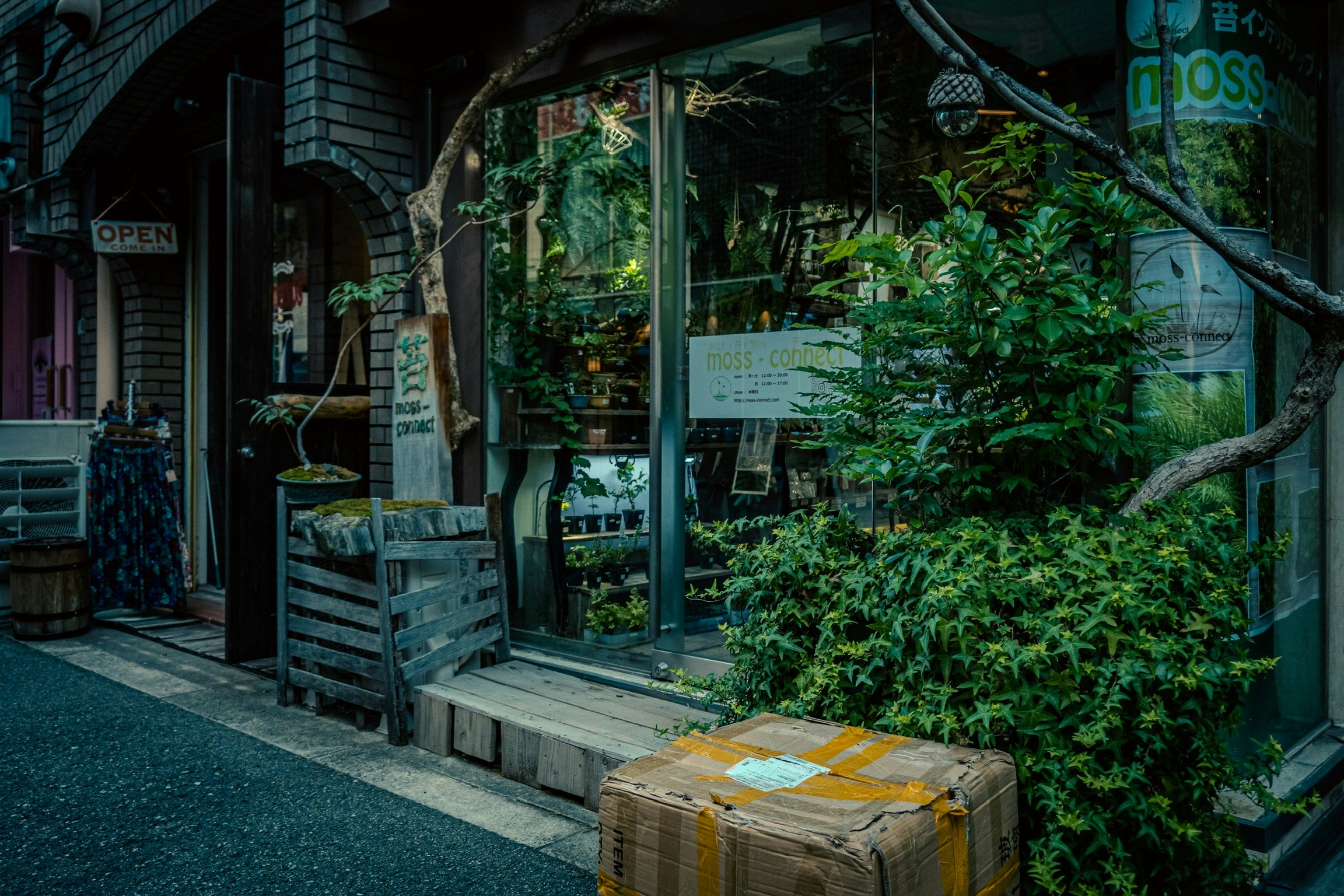 緑に覆われた路地の店先と木製ベンチ