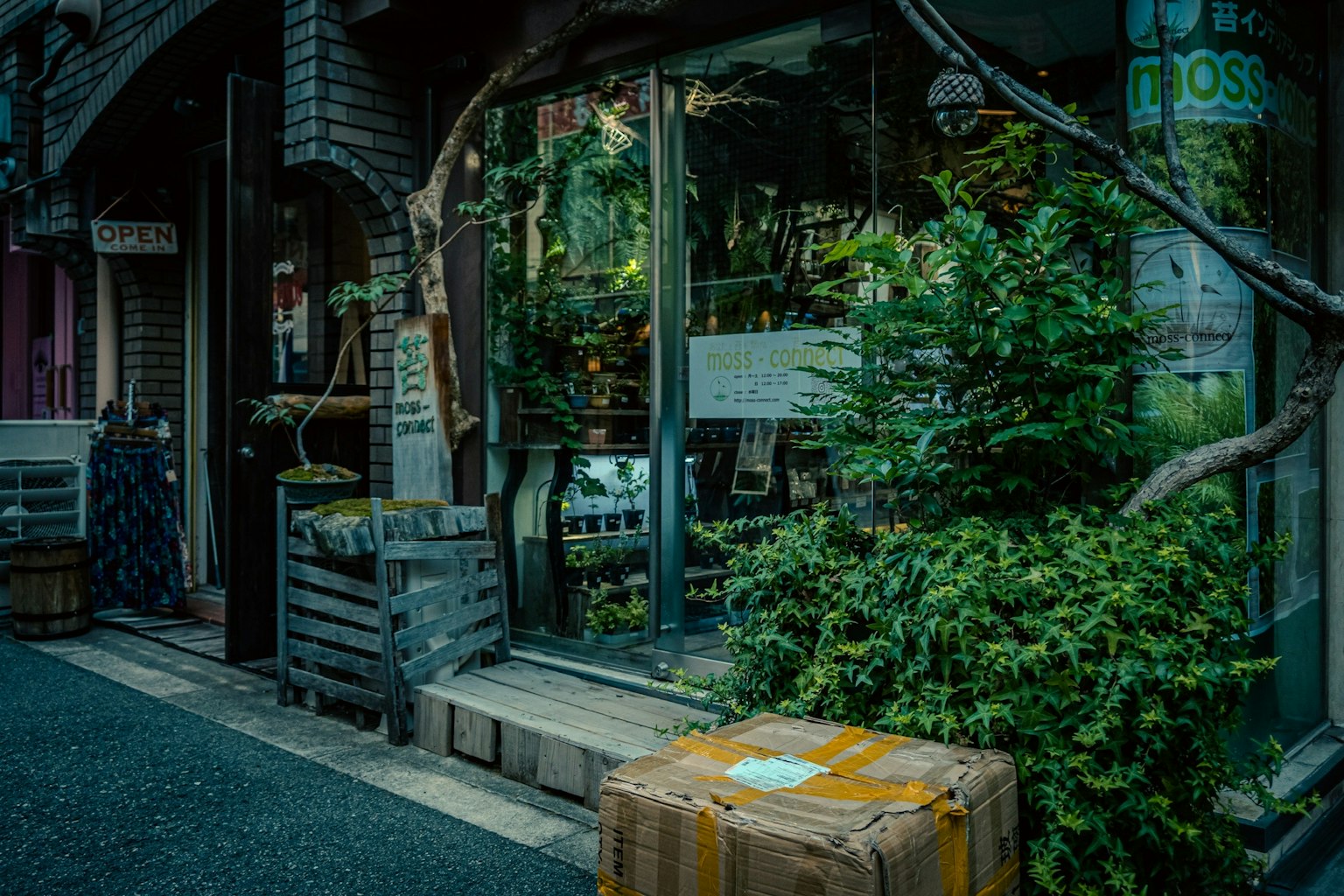 Eksterior toko kecil yang dihiasi tanaman hijau dan peti kayu di jalan