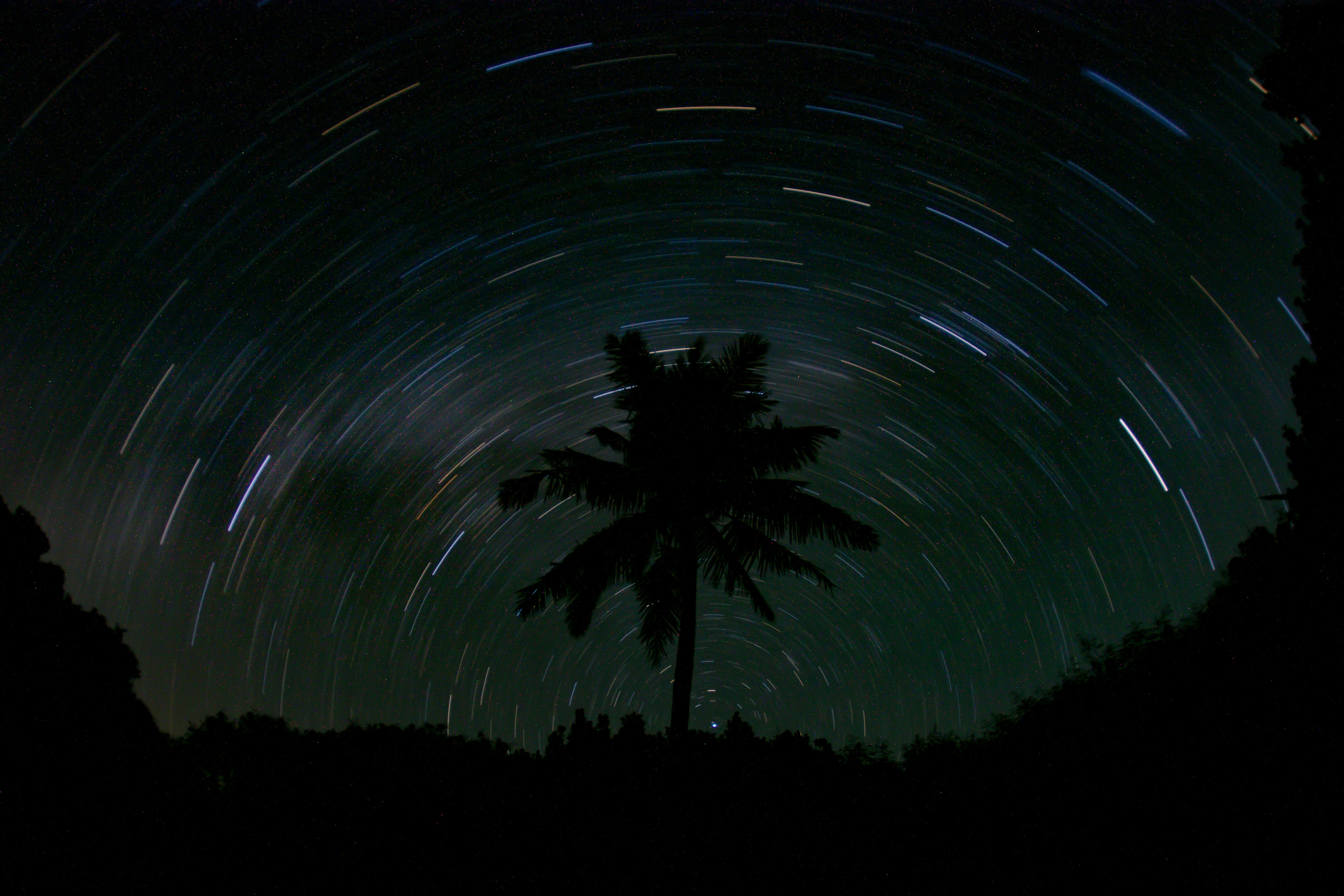 夜空星軌與棕榈樹剪影