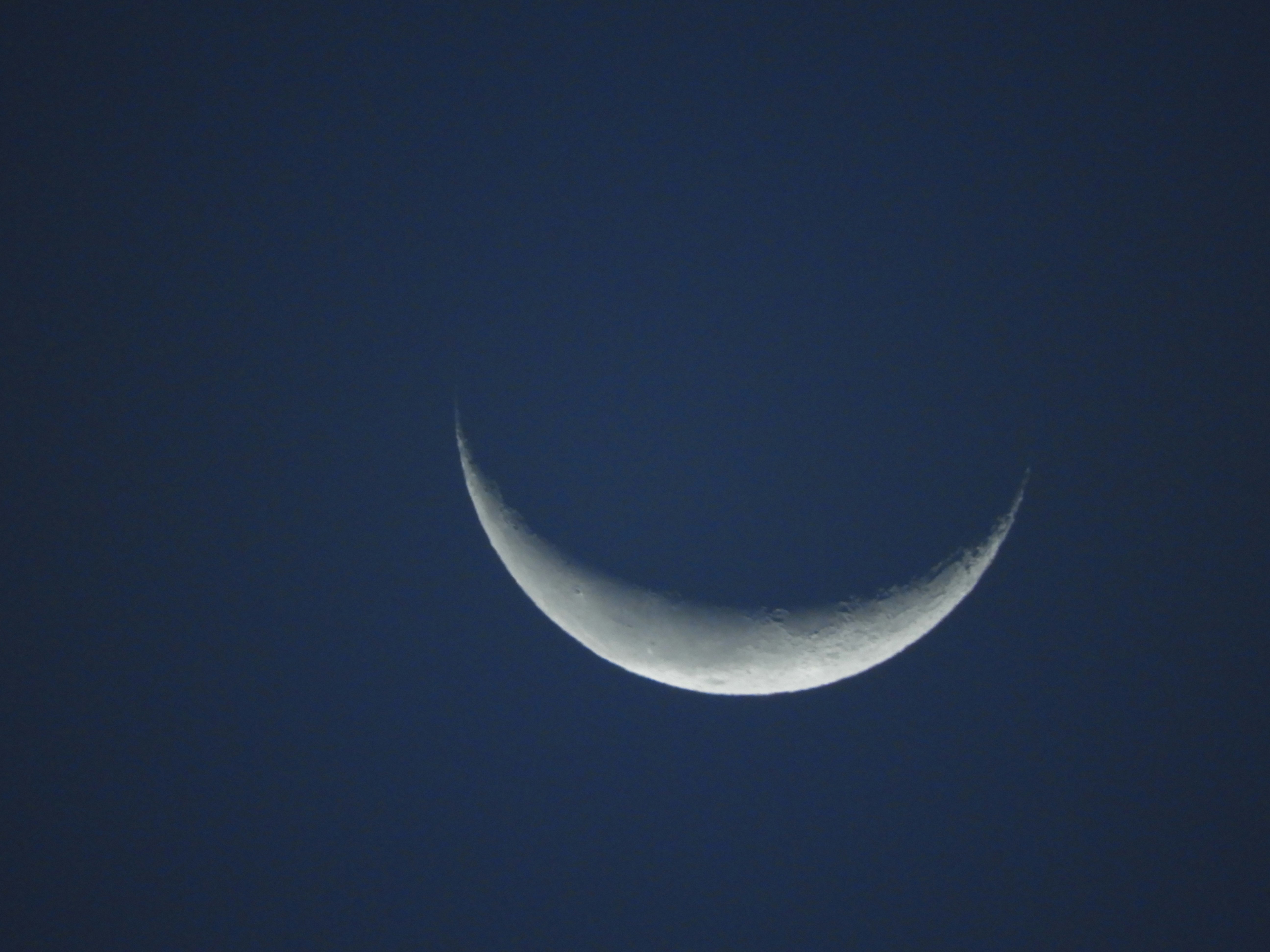 今朝の月が薄い雲の間に浮かぶ空