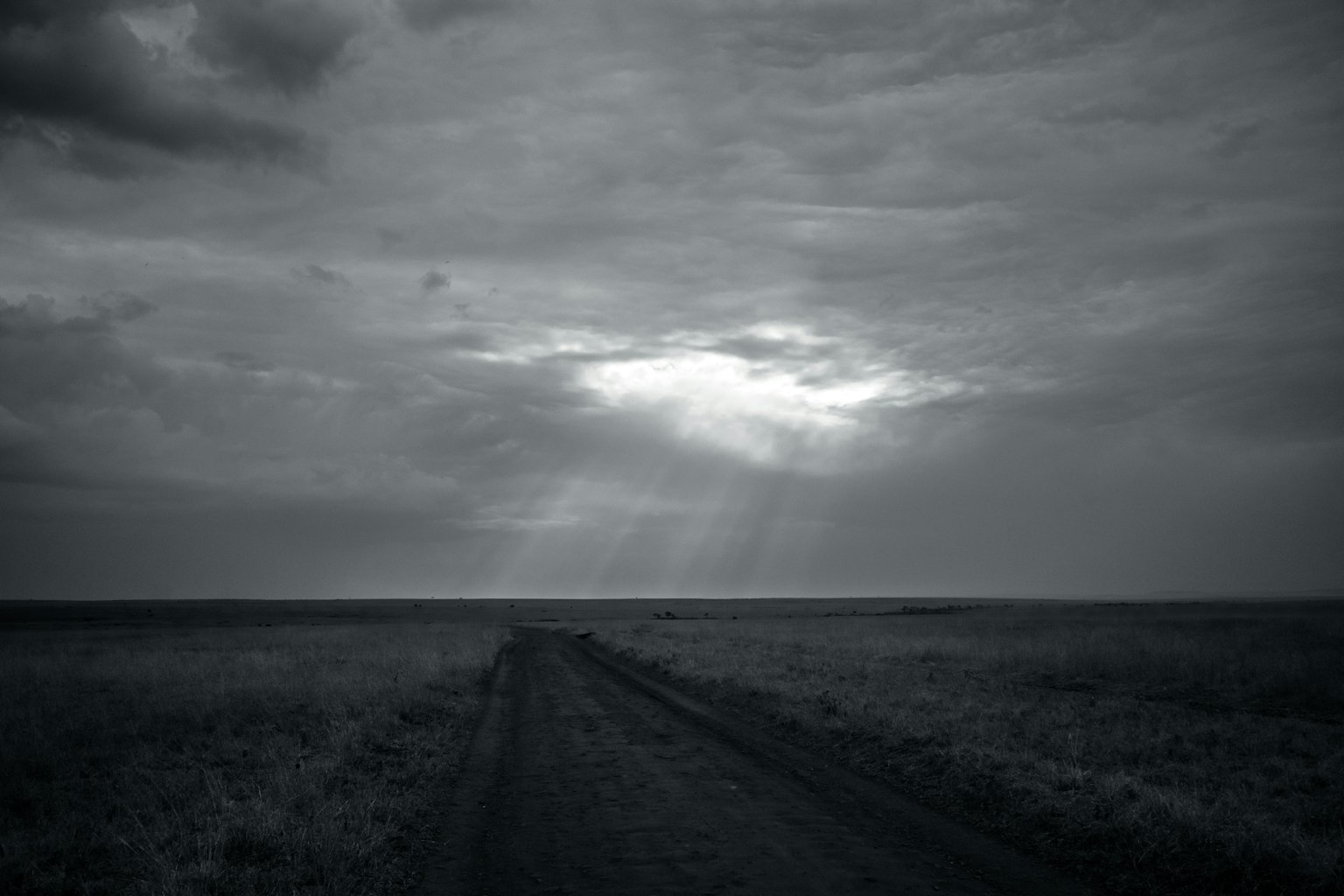 어두운 배경의 간단한 디자인 아이콘