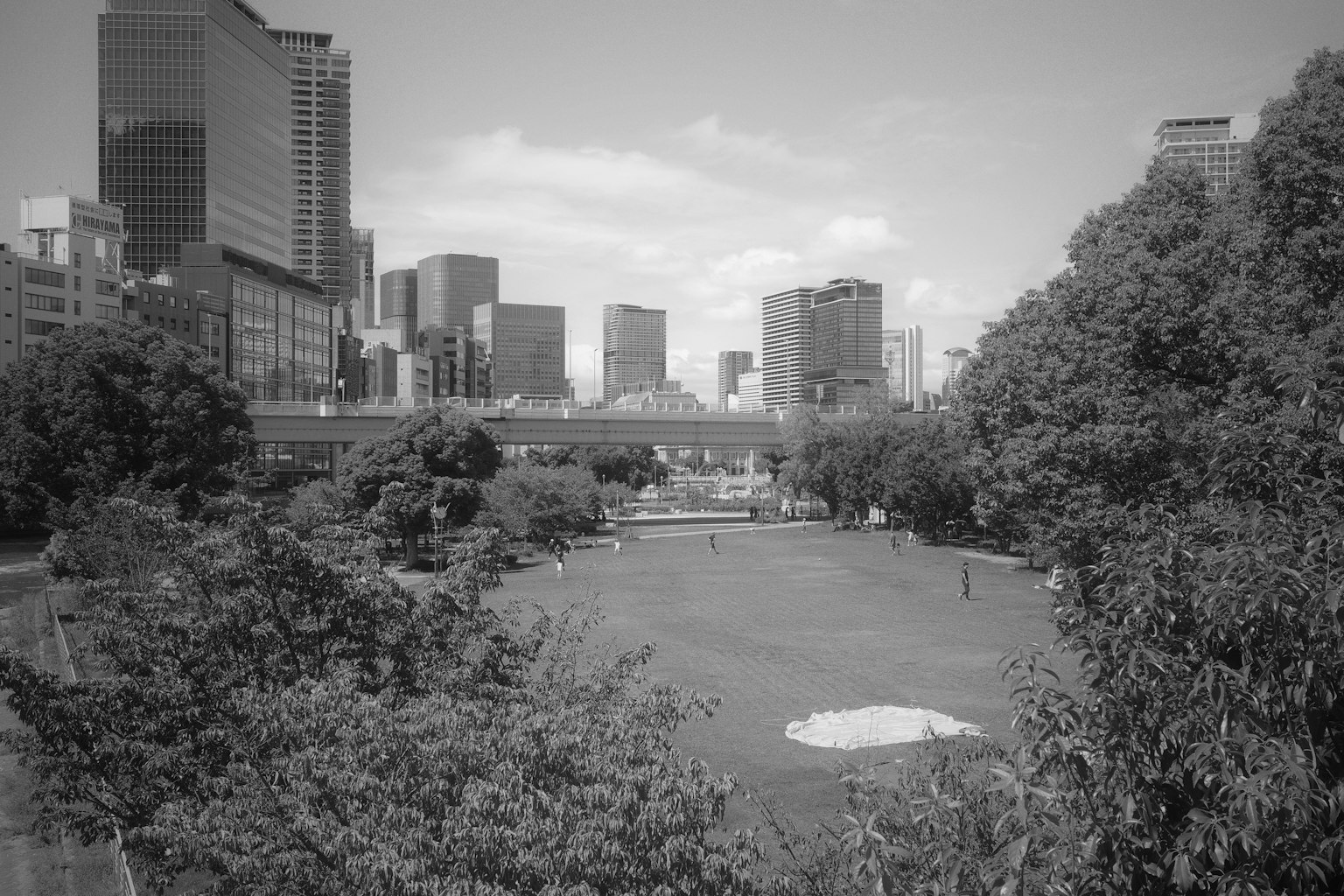 モノクロの都市風景　高層ビルと緑豊かな公園　穏やかな水面　青空の下