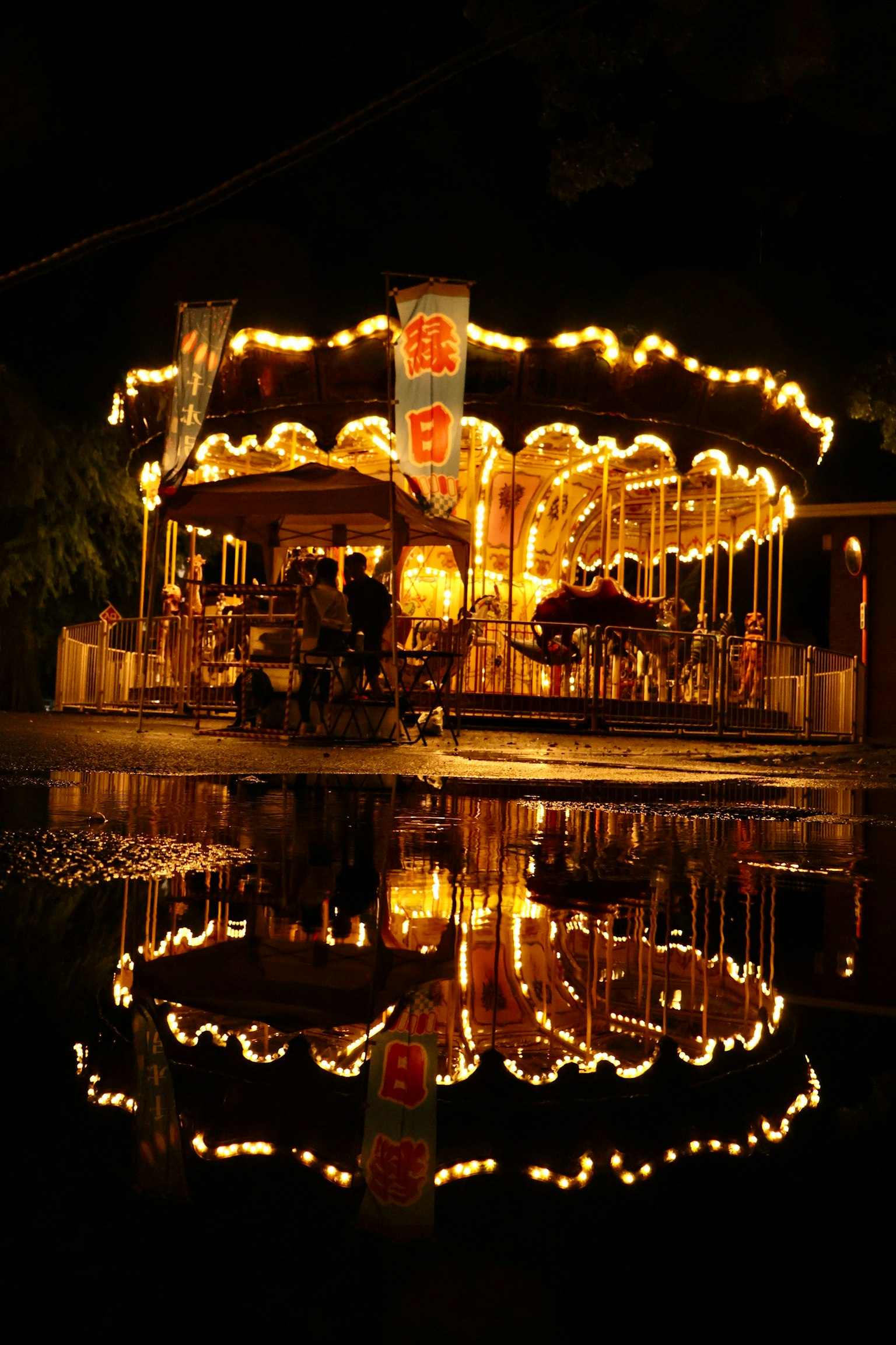 Beautifully lit carousel at night with reflections in the water