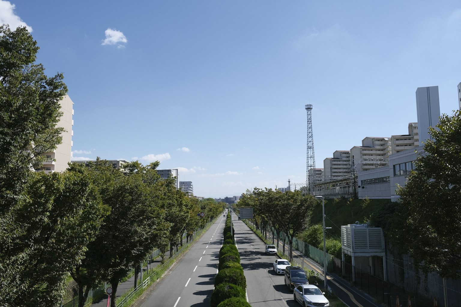 Une vue d'une rue bordée d'arbres sous un ciel bleu avec des bâtiments de la ville