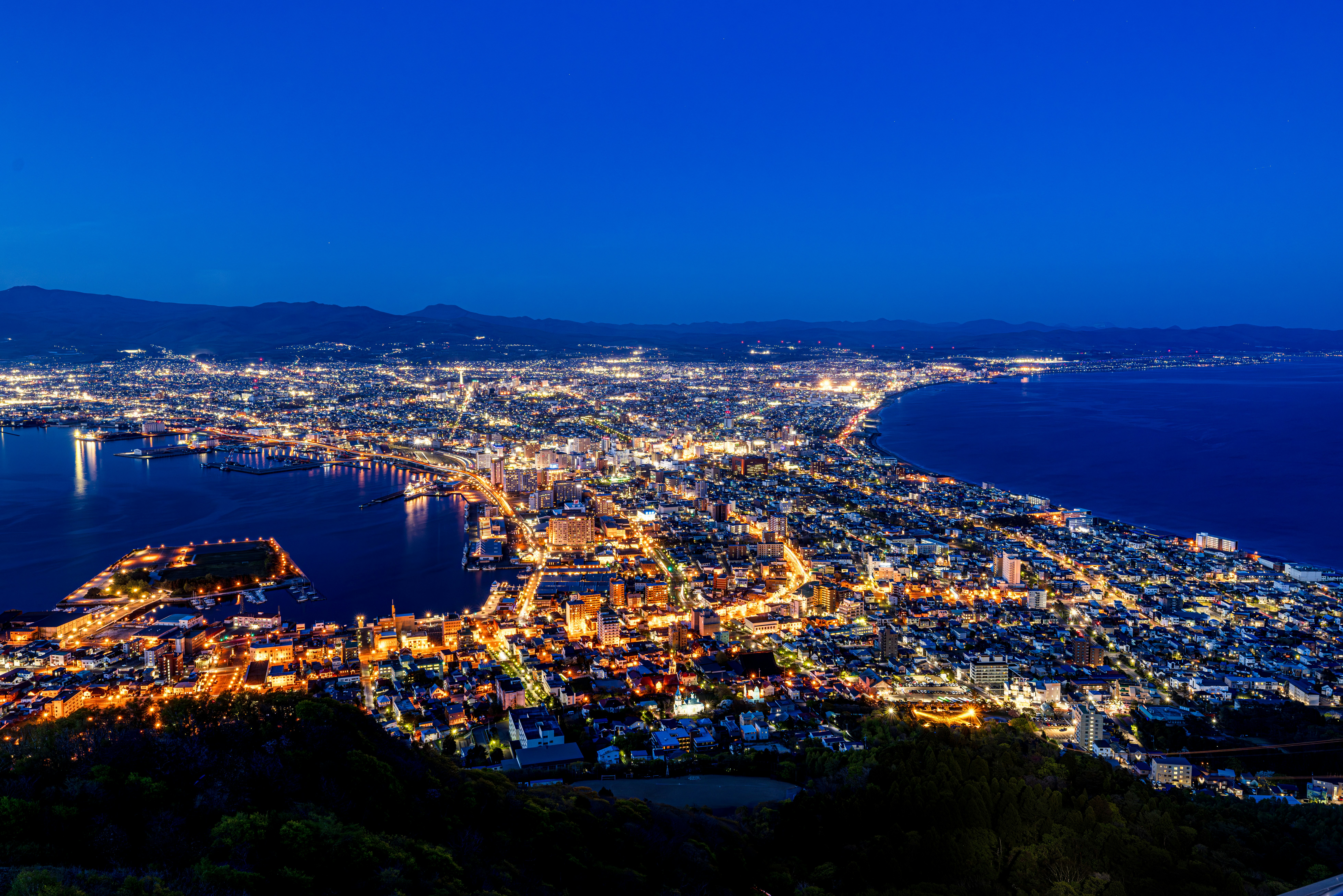 海沿いの夜景を見下ろす街並み