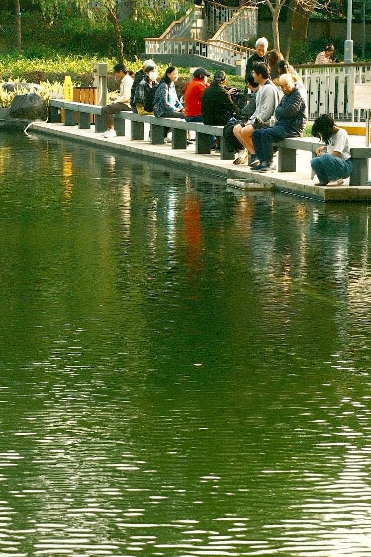 池のほとりのベンチに座る人々の風景
