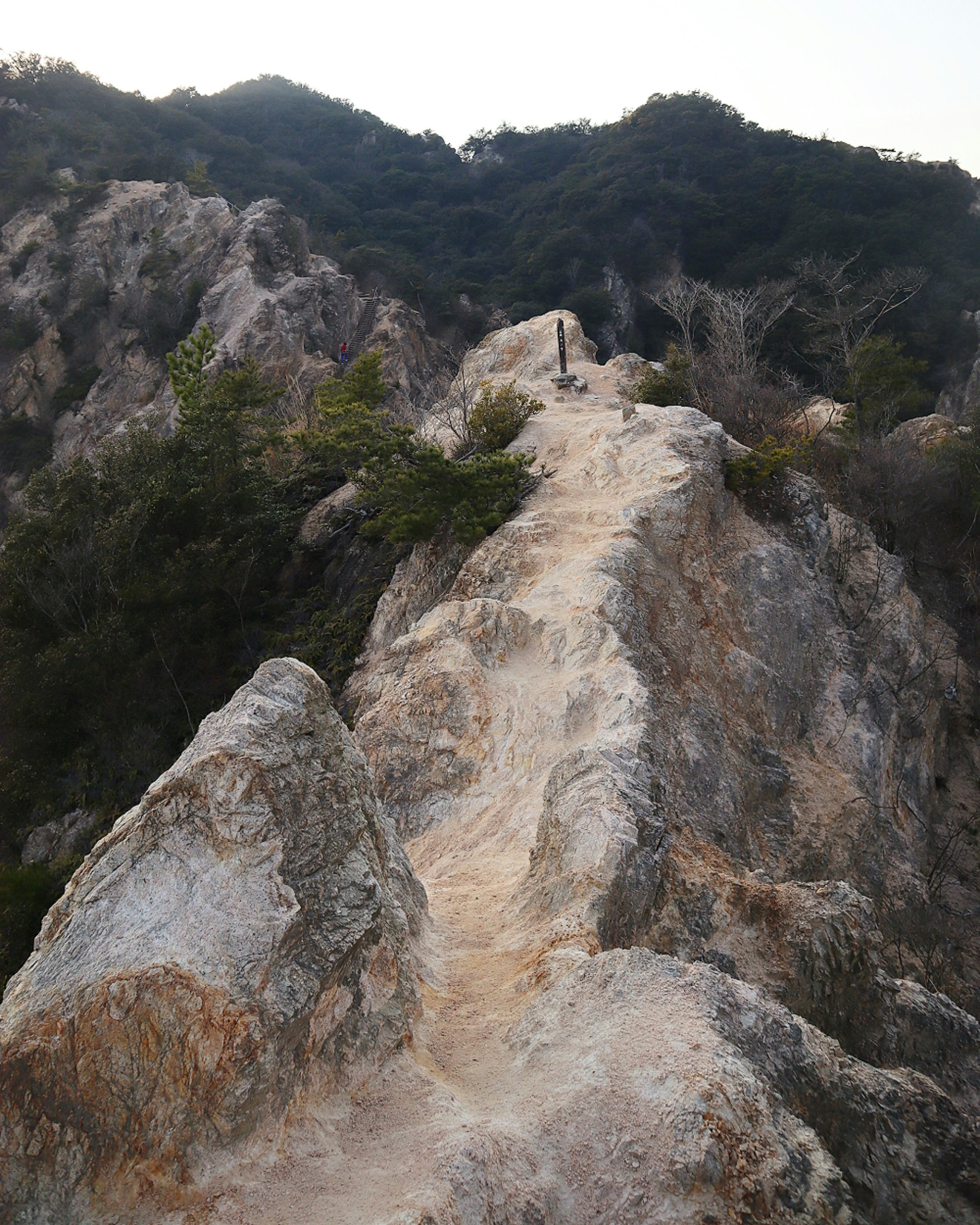 兵庫県神戸市須磨区の六甲山系・須磨アルプス「馬の背」岩稜の登山道画像