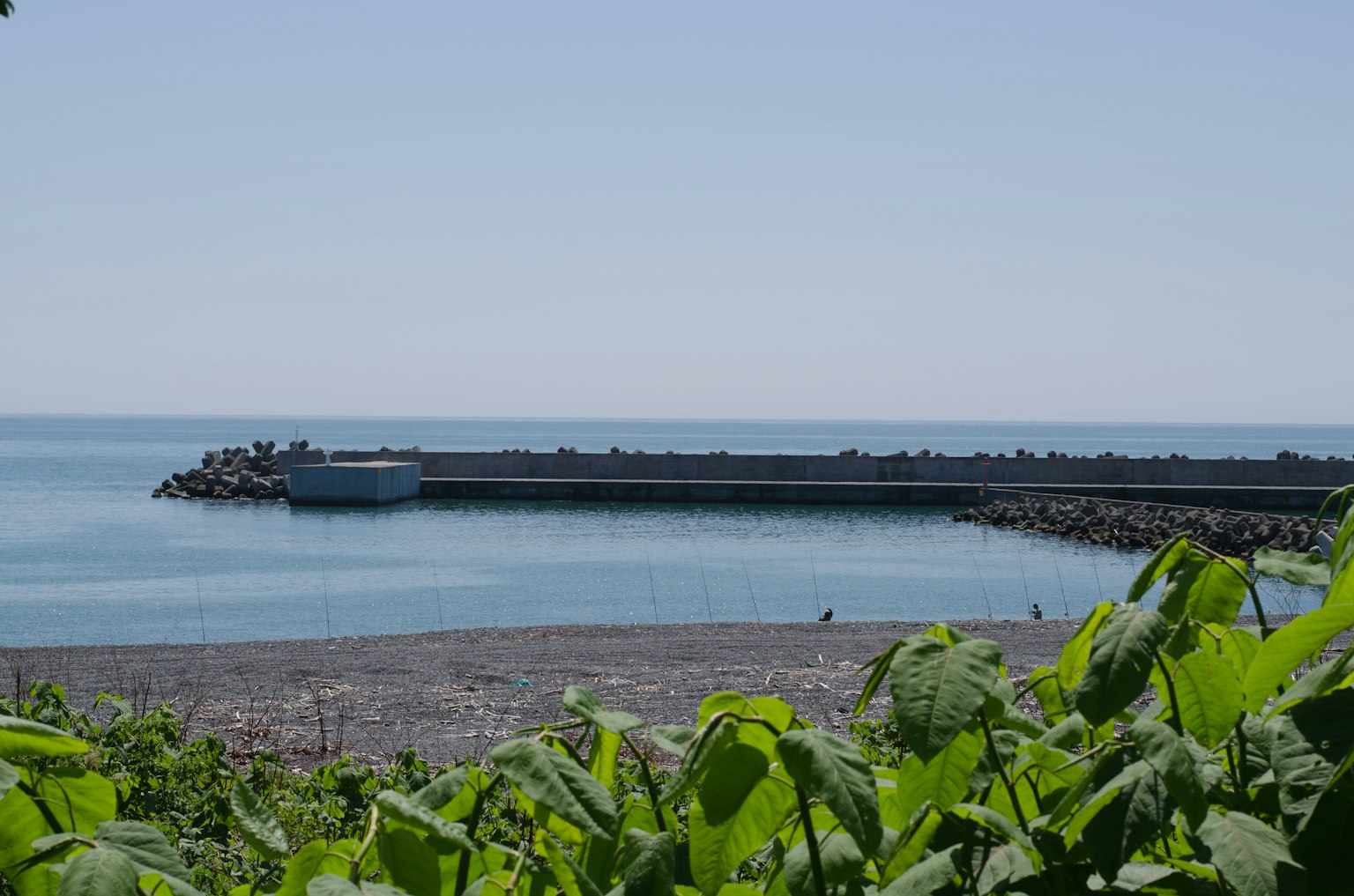 Paysage côtier calme avec mer bleue et brise-lames