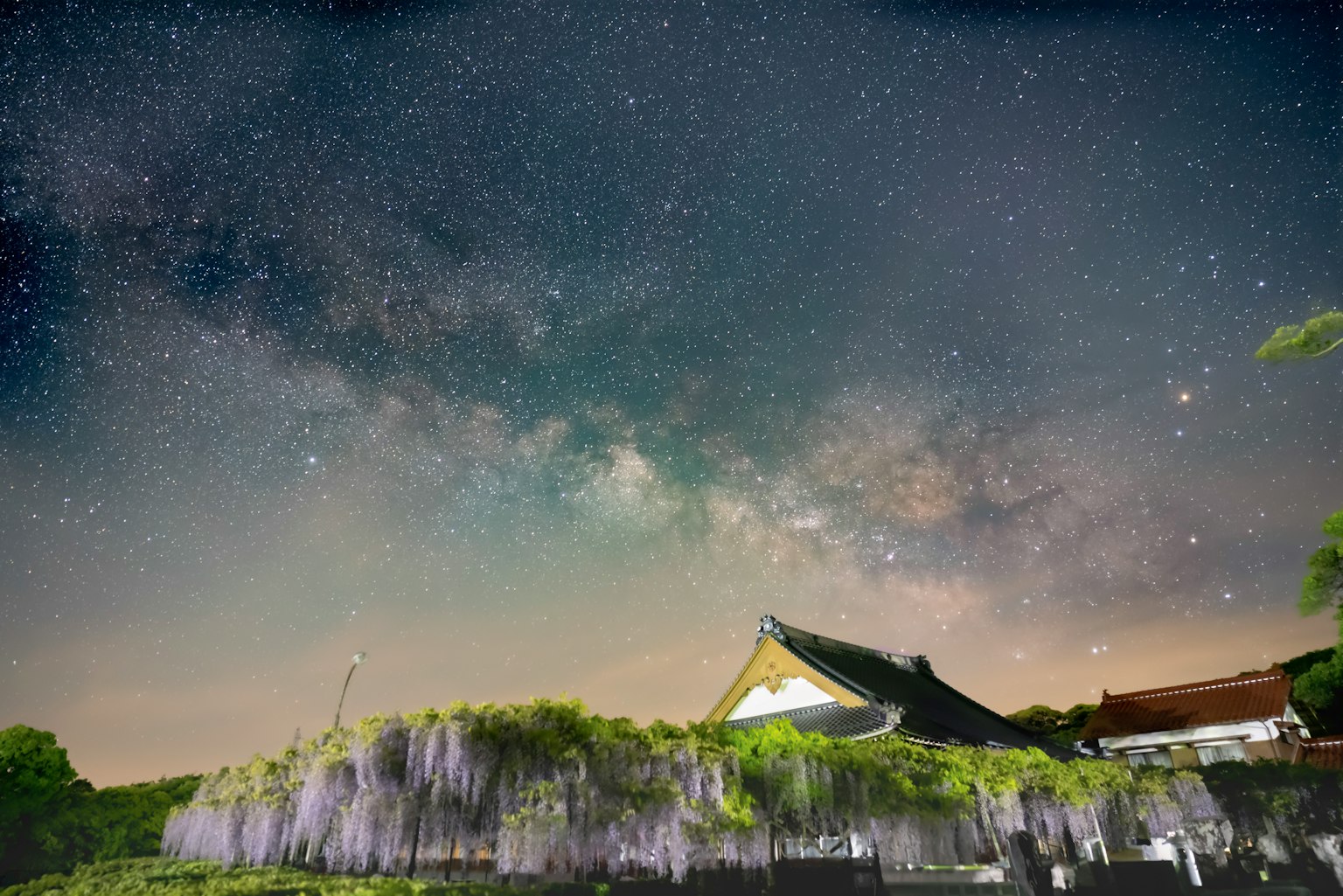 Malersicher Blick auf Glyzinienblüten und ein traditionelles Gebäude unter einem Sternenhimmel