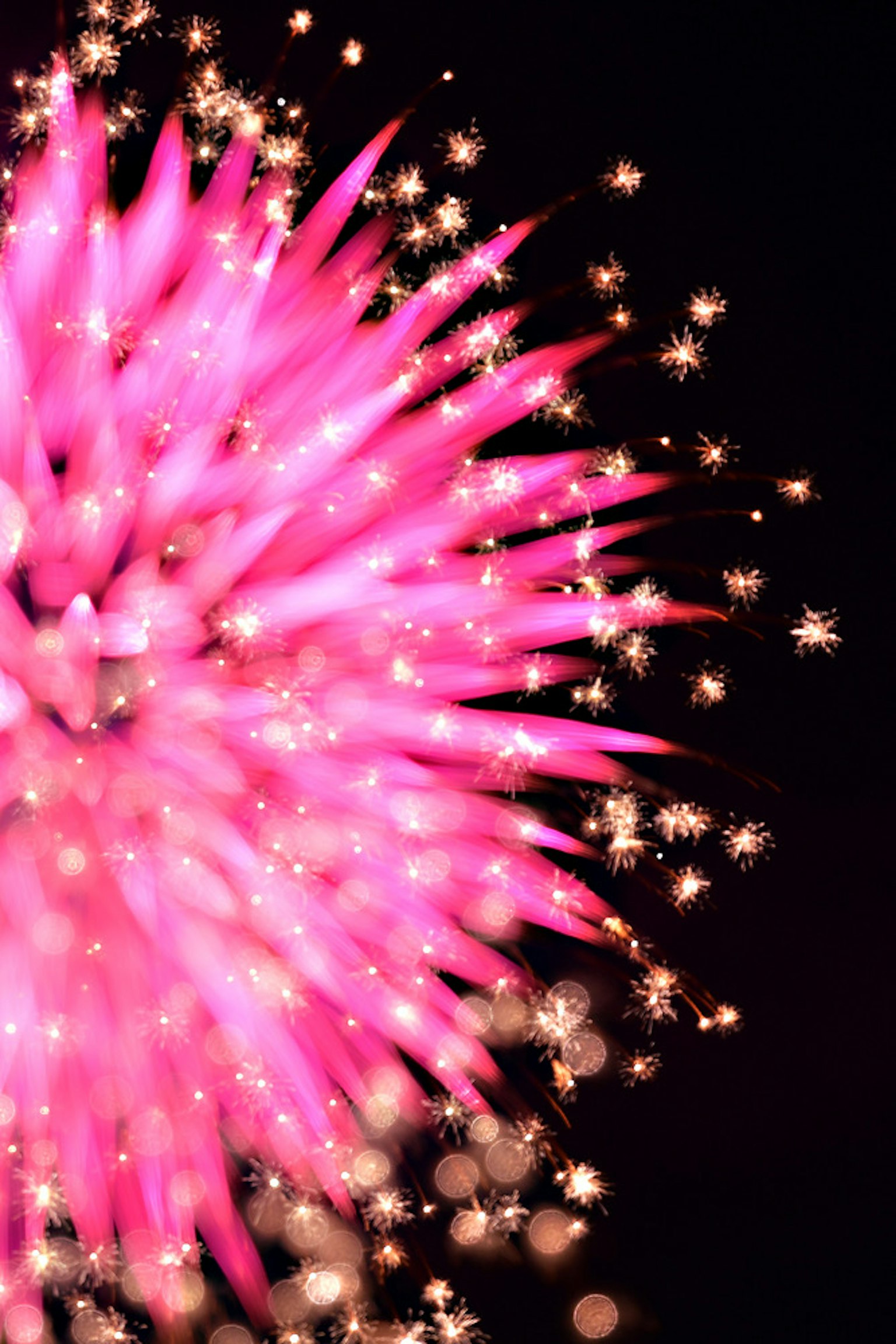 Vibrant pink fireworks bursting in the night sky