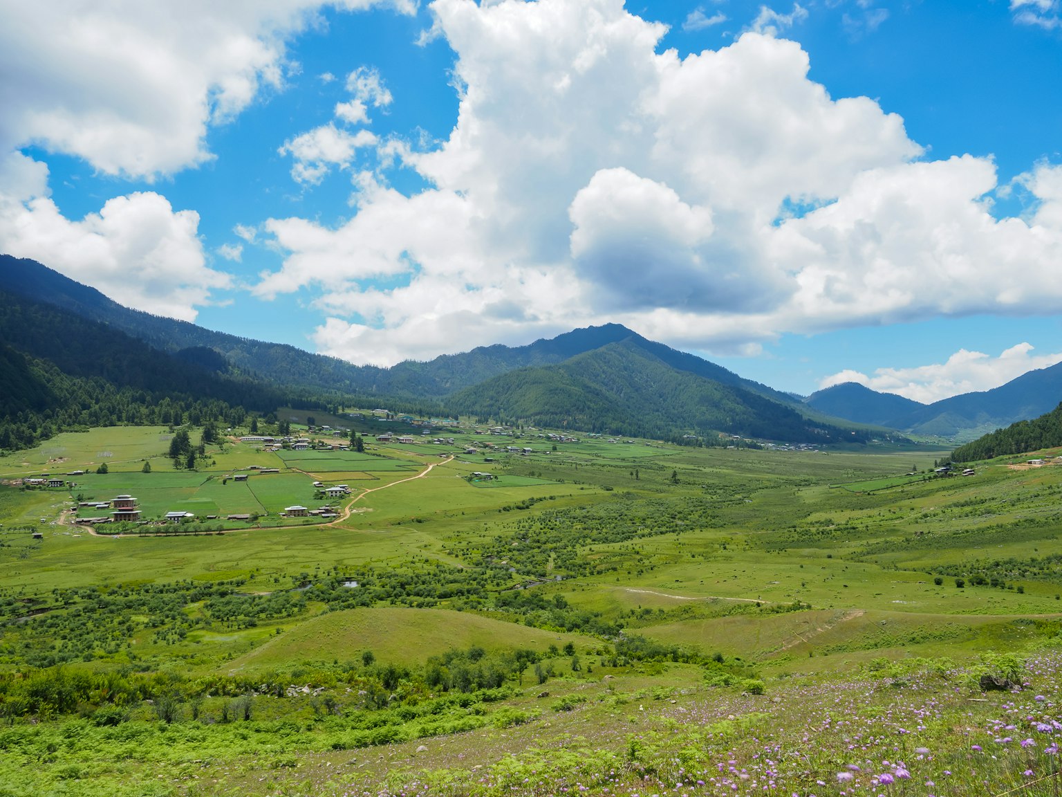 Lush green valley surrounded by mountains under a blue sky with fluffy clouds