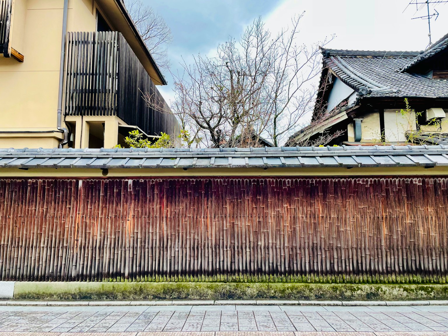 Traditional Japanese houses with a bamboo fence in a scenic view