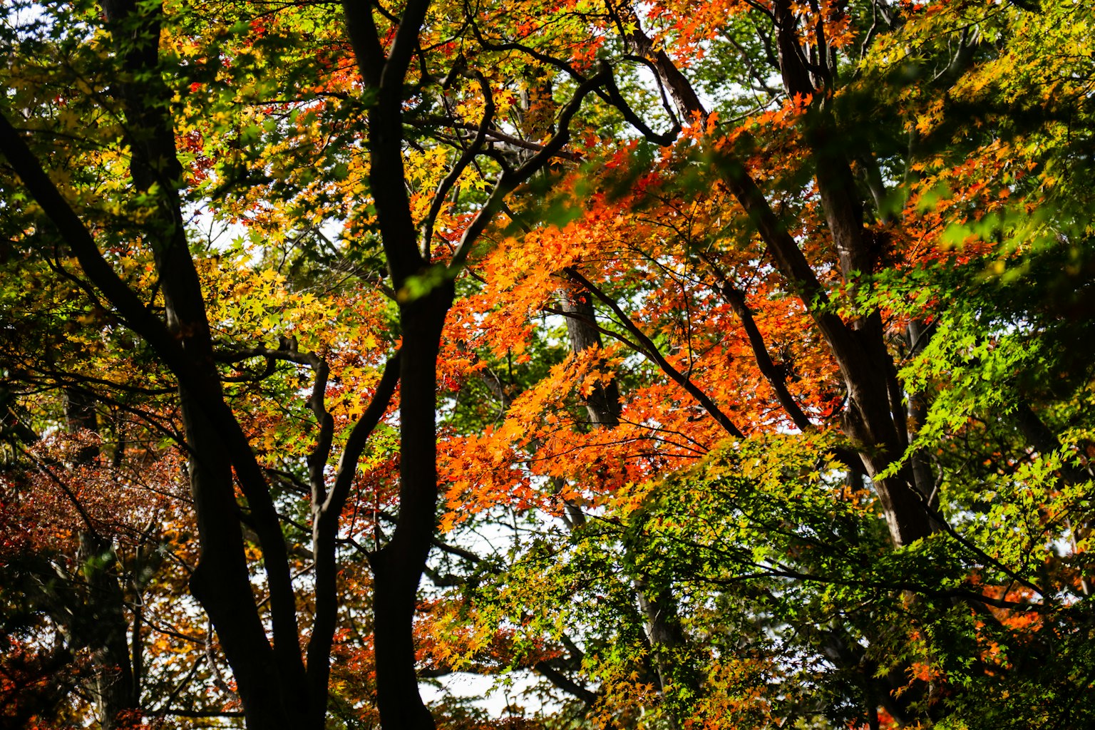 photo-q7SCd5yh2TffEZMQTy6C-image