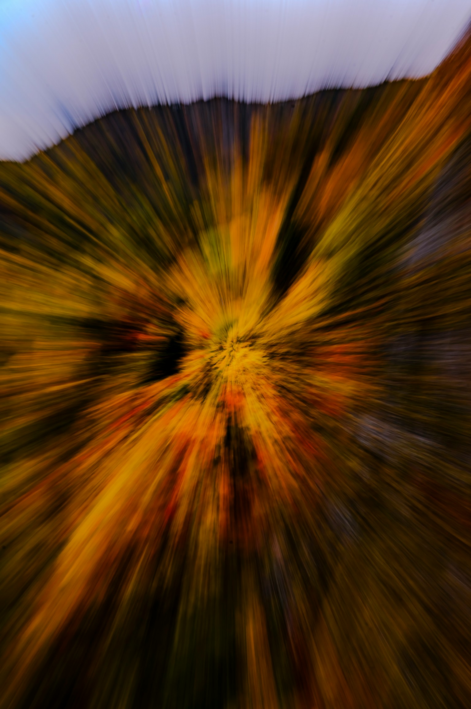 Image abstraite de feuilles d'automne colorées floues dans un motif dynamique