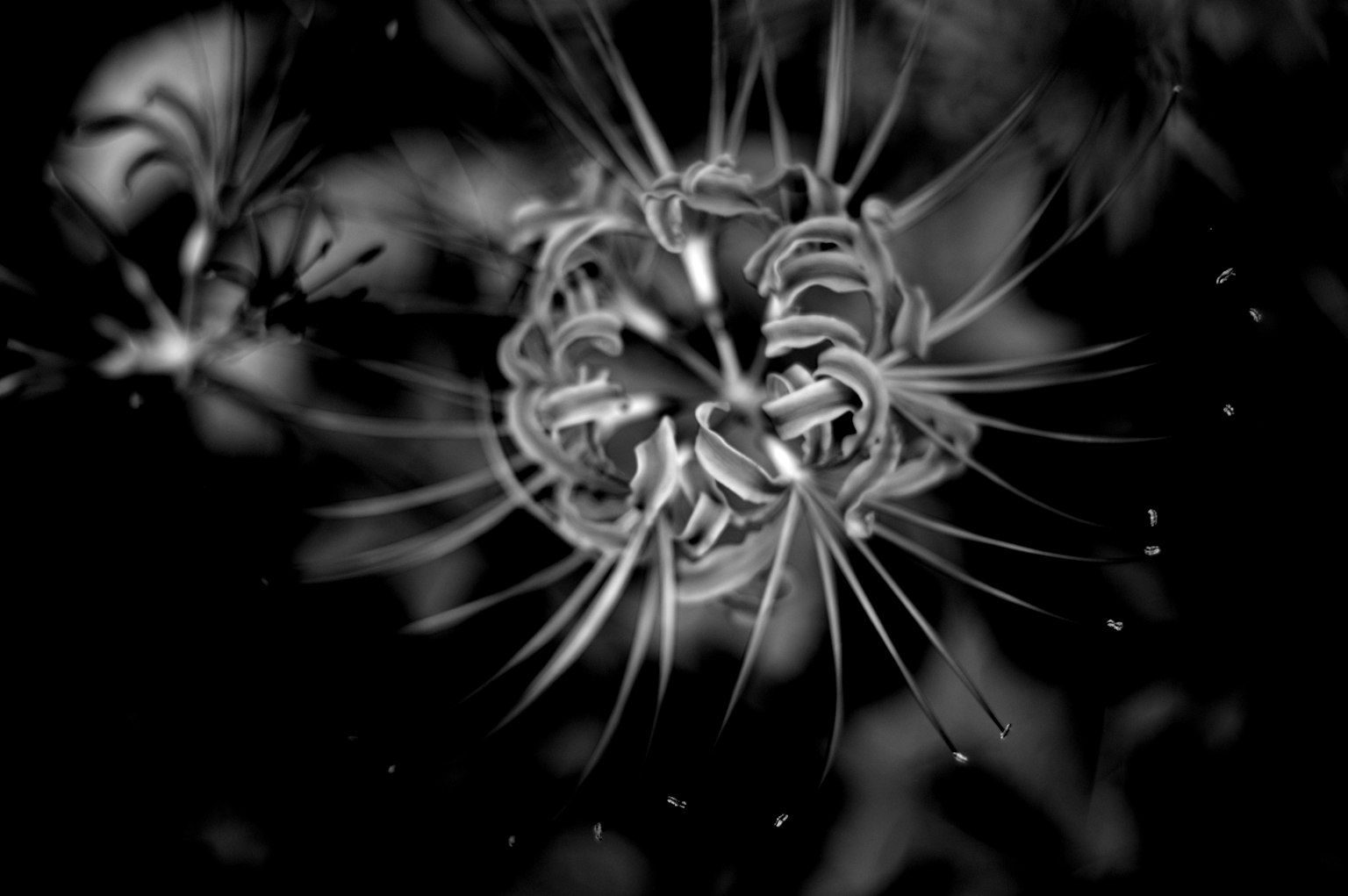 photo-q8TQTjmuePi8Viq1E1yL-image