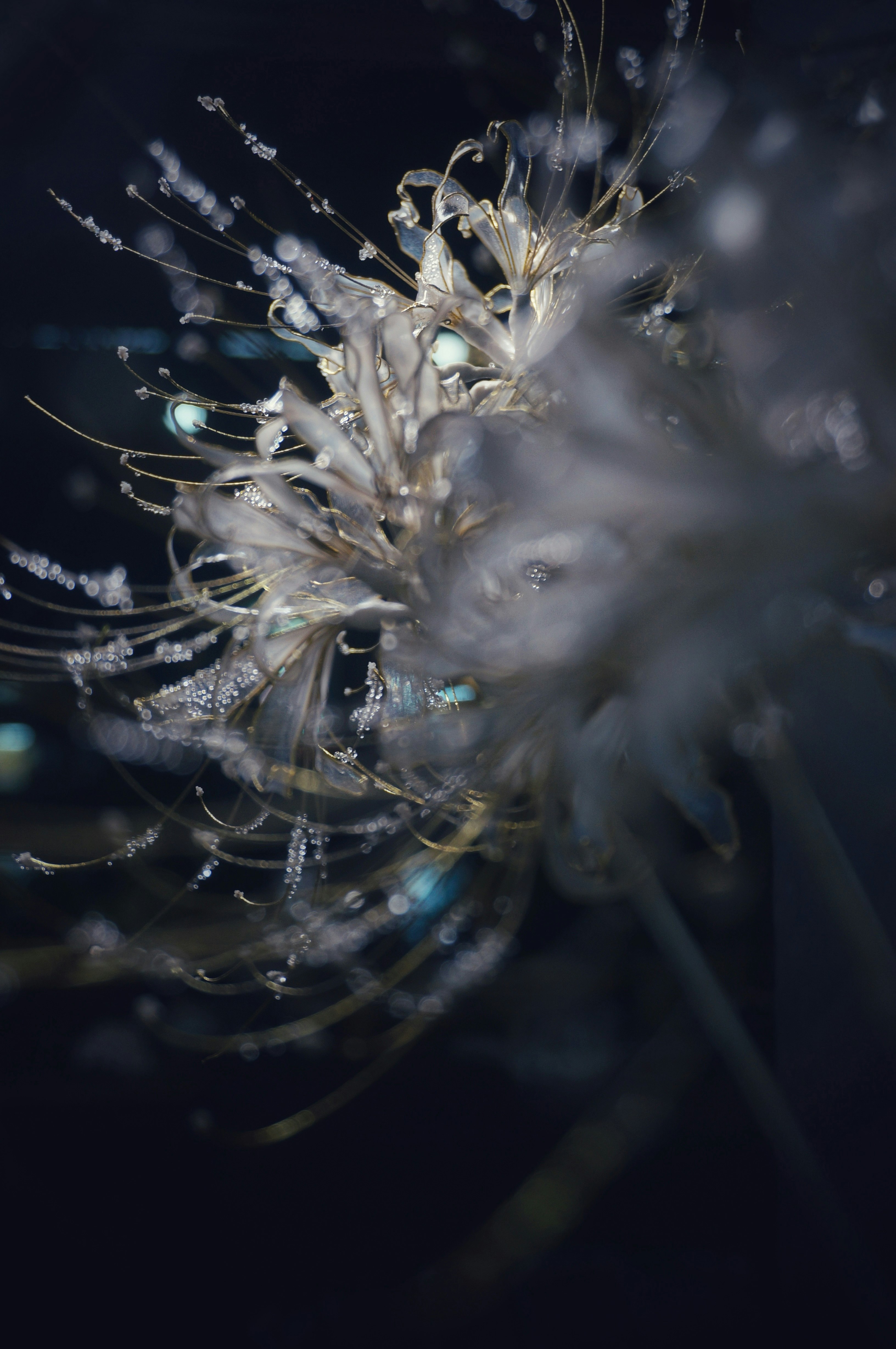 暗い背景に浮かぶクラゲのような生物の発光する触手