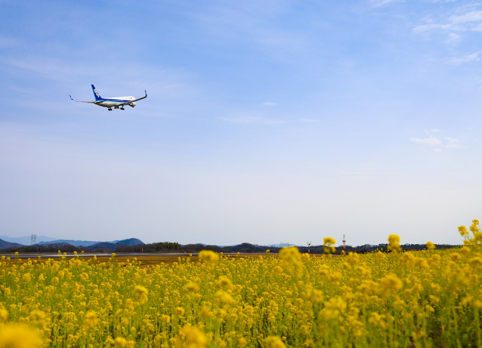 Un avión volando sobre un campo de flores amarillas bajo un cielo azul