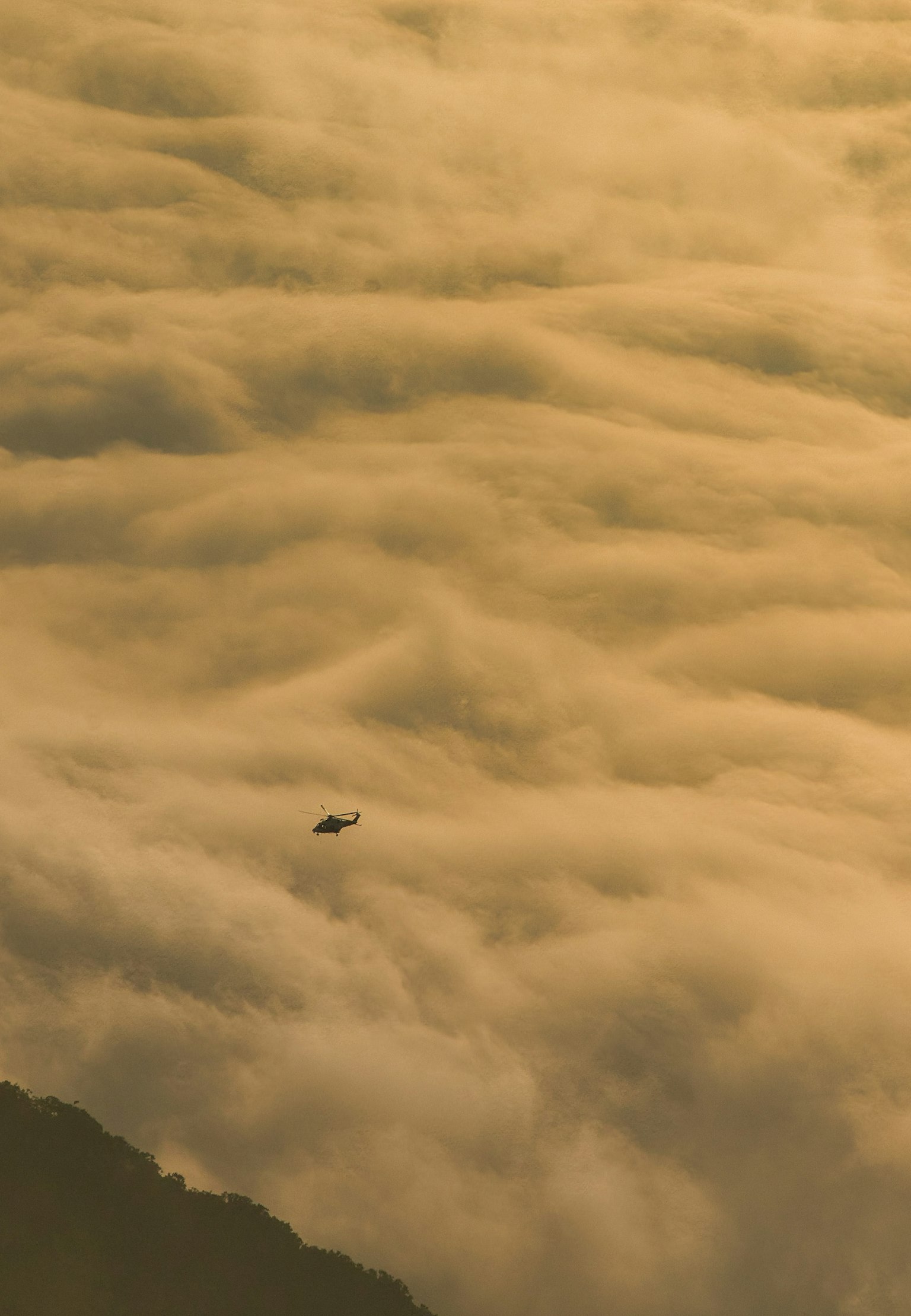 一架小型飛機飛翔在金色天空的雲海上