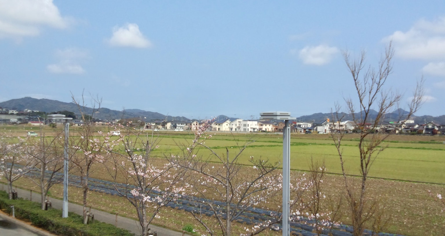 Cielo azul claro sobre campos de arroz con casas a lo lejos