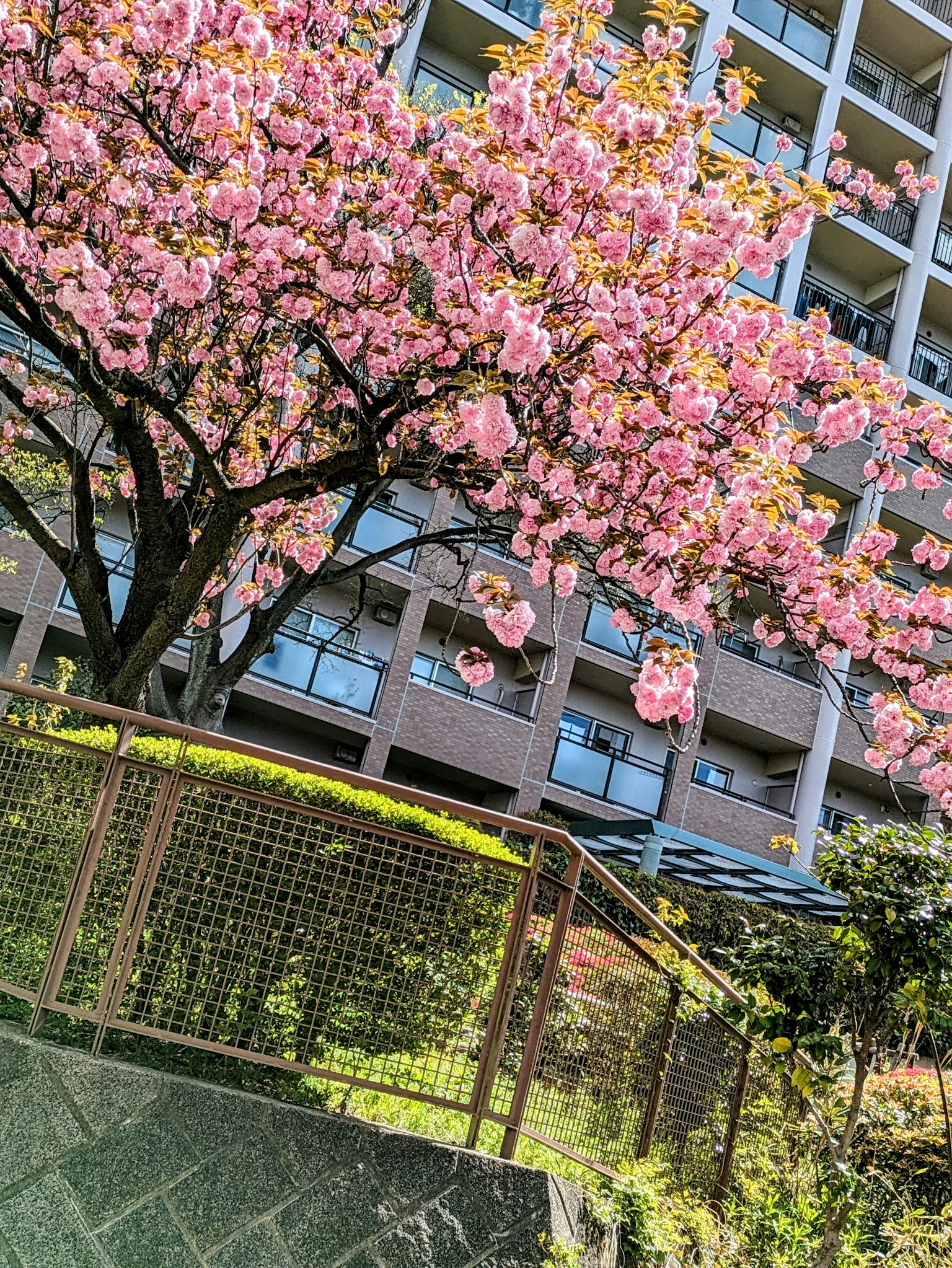 photo-qBJJkOutIuzS4otC3v2C-image