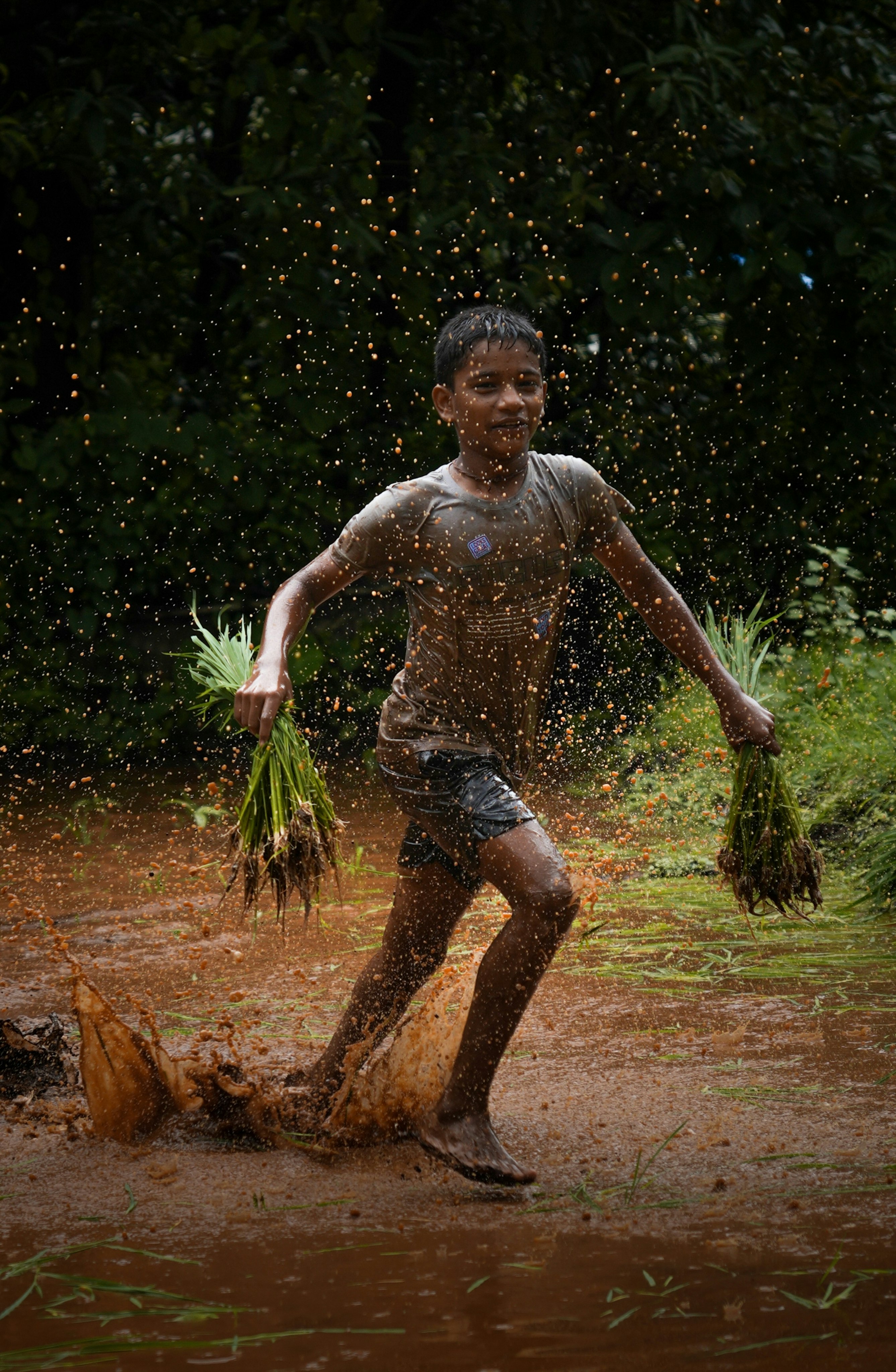 泥水の中で稲の葉を手に走る少年のモンスーンの瞬間