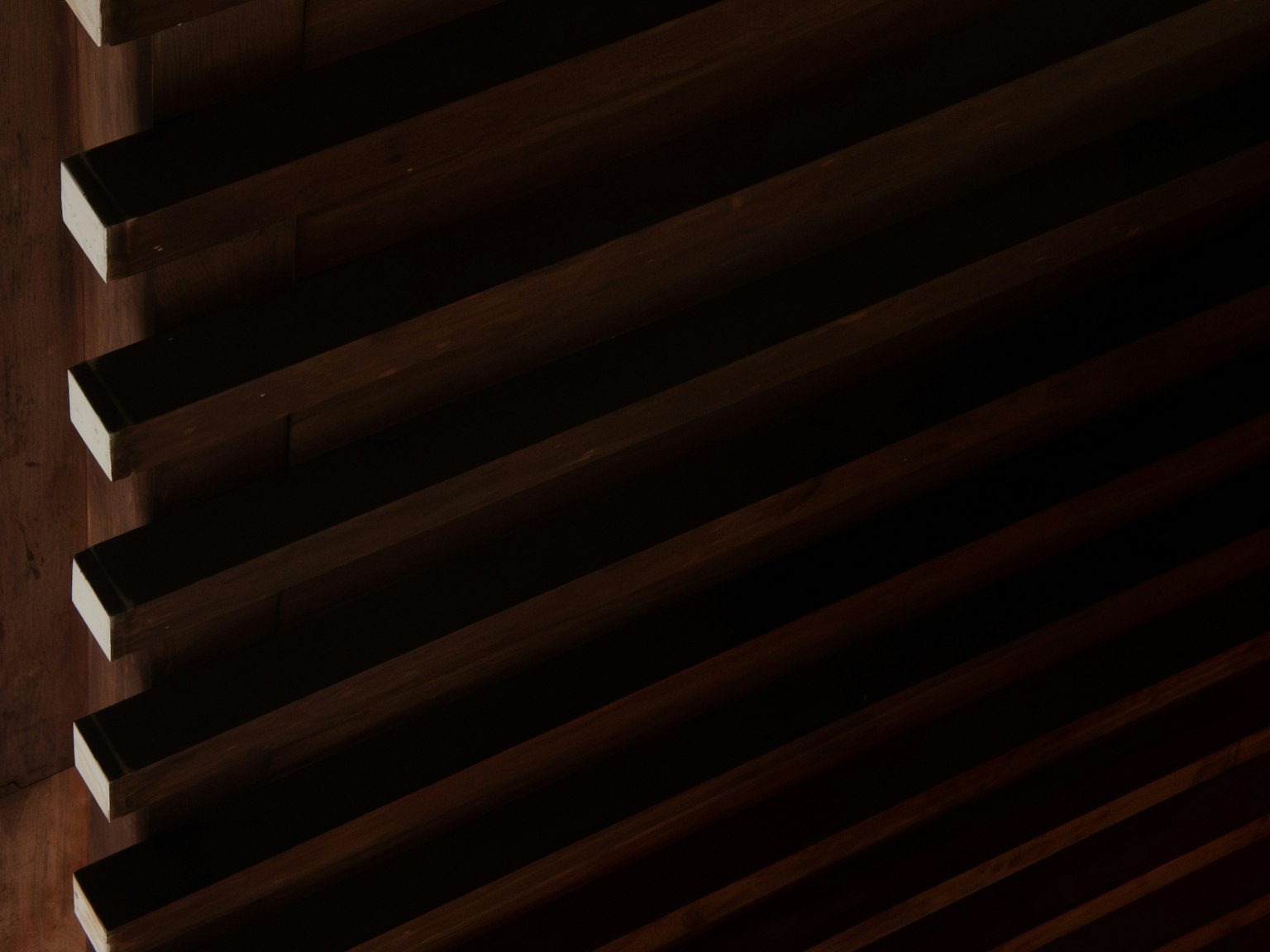 photo-qC3g2IruxzD2x025FfGr-image