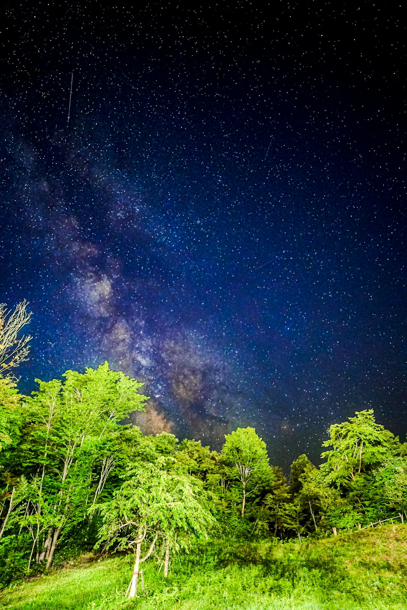 岩手の深緑の森と天の川の星空