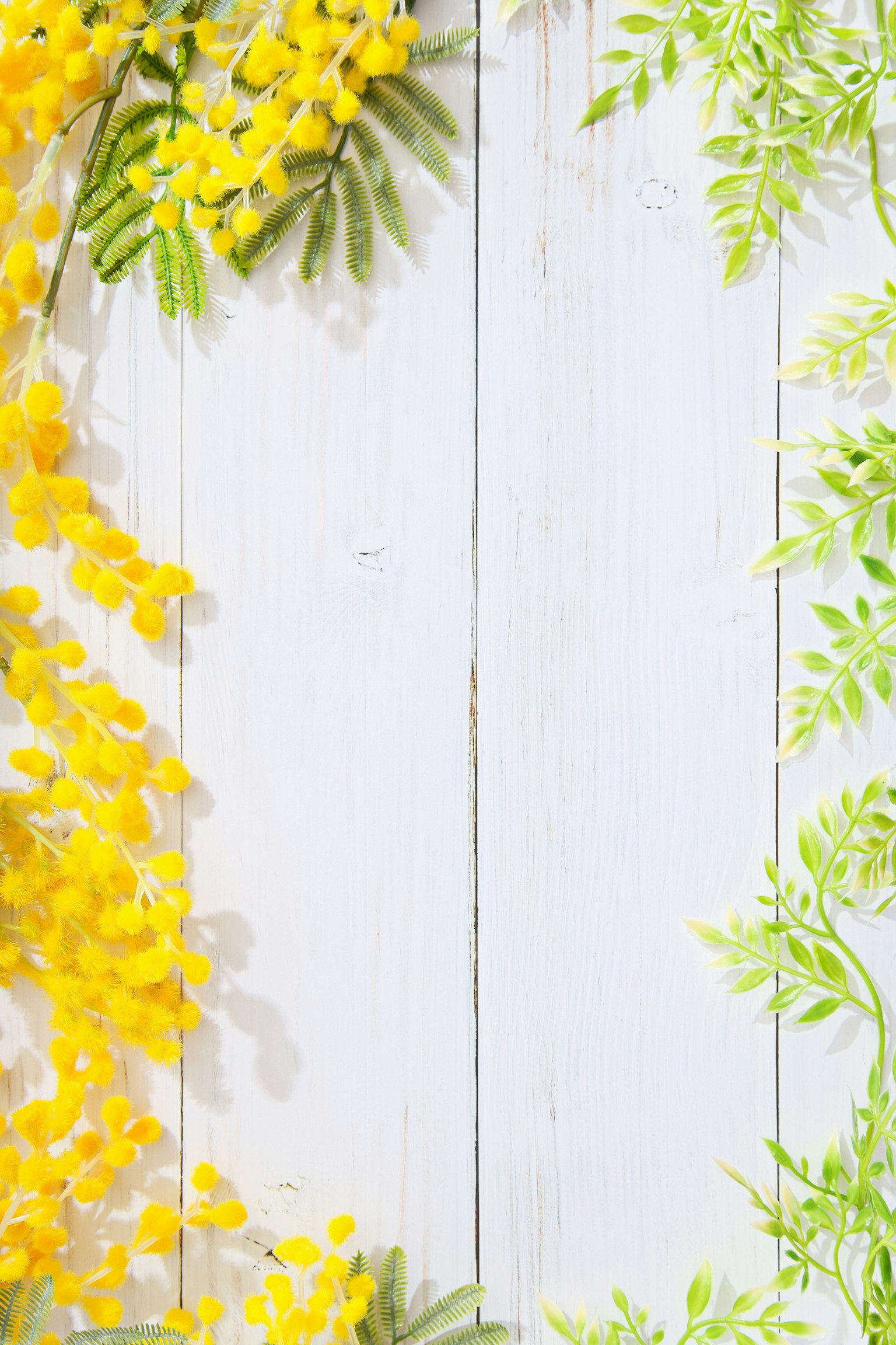 Yellow flowers and green leaves arranged on a white wooden background