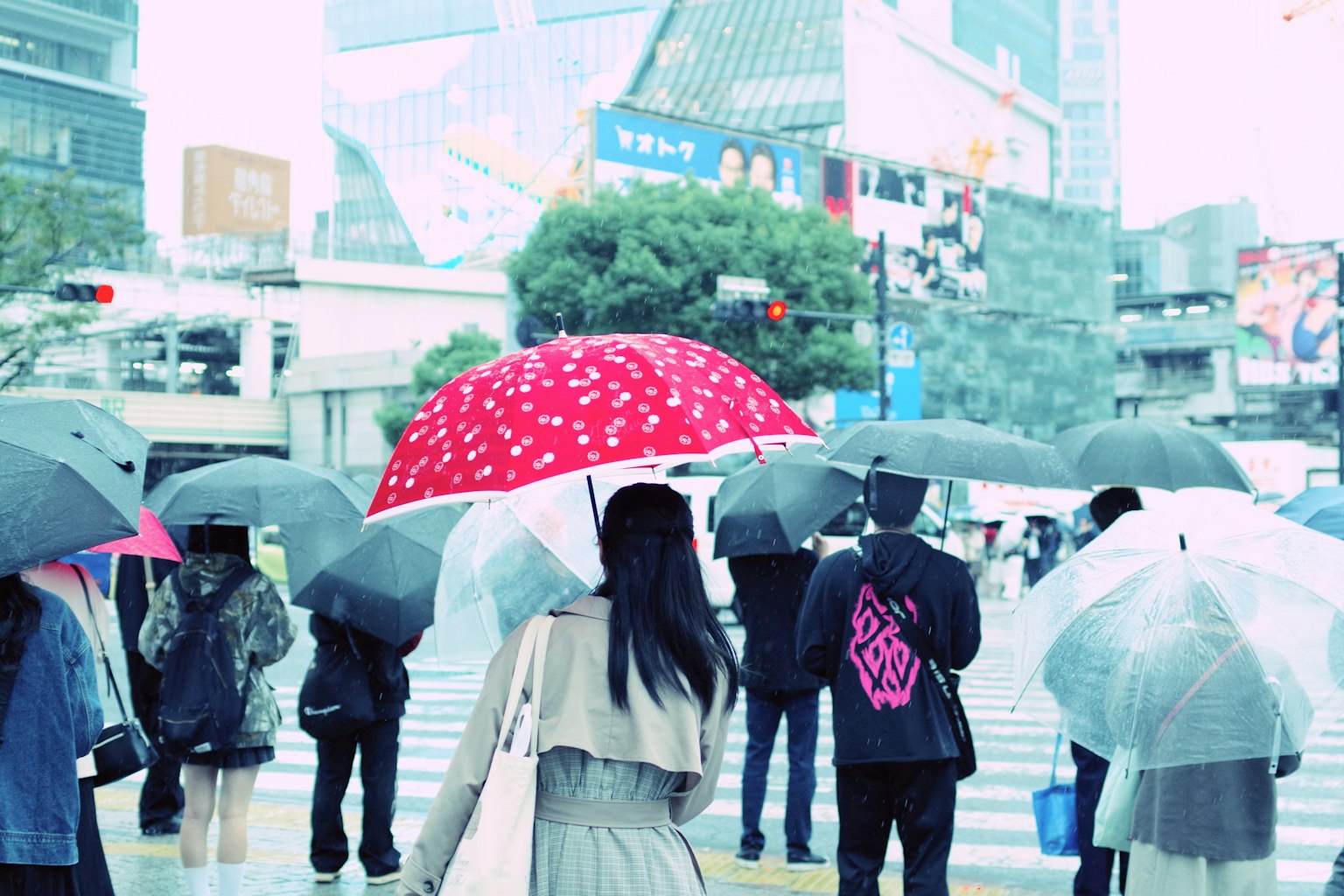 People waiting at a crosswalk in the rain with umbrellas