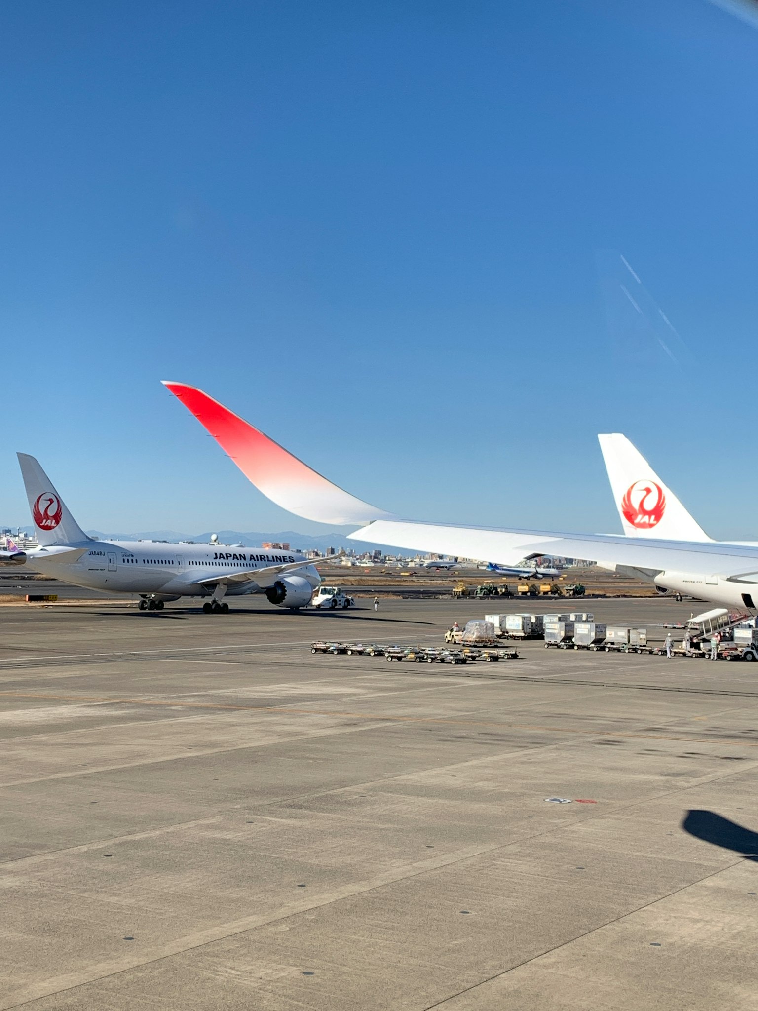 Tail fins of Japan Airlines planes parked on the runway