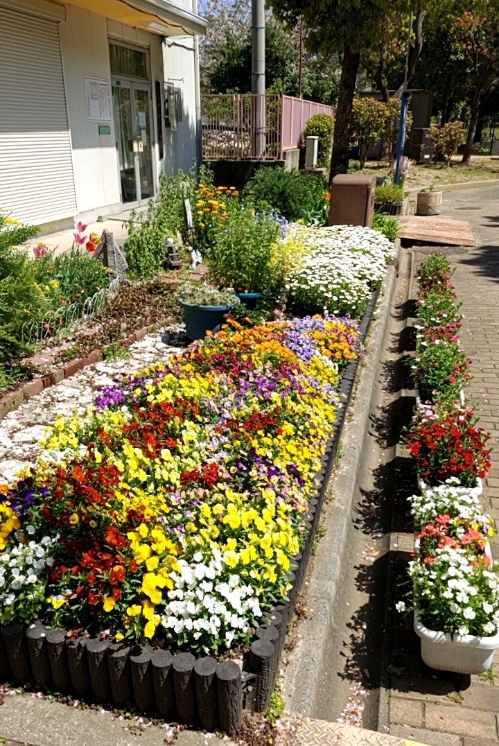 春の花壇が並ぶ花の町の小道の風景