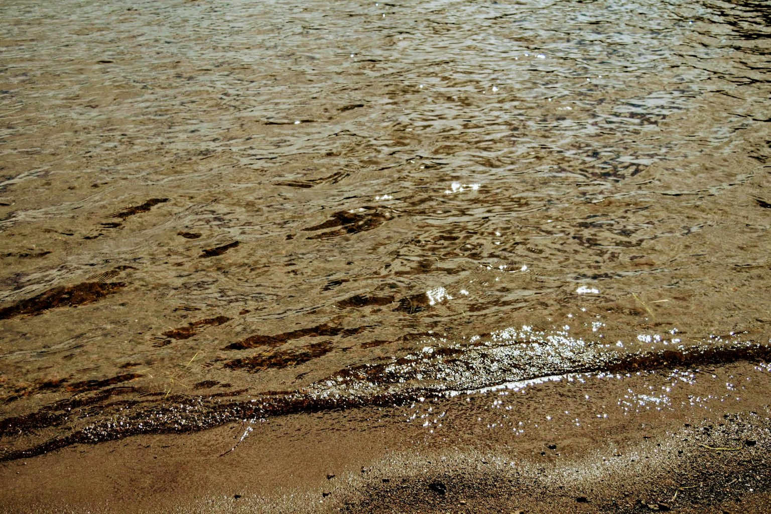 Calm beach scene showing shimmering water surface and sandy shoreline