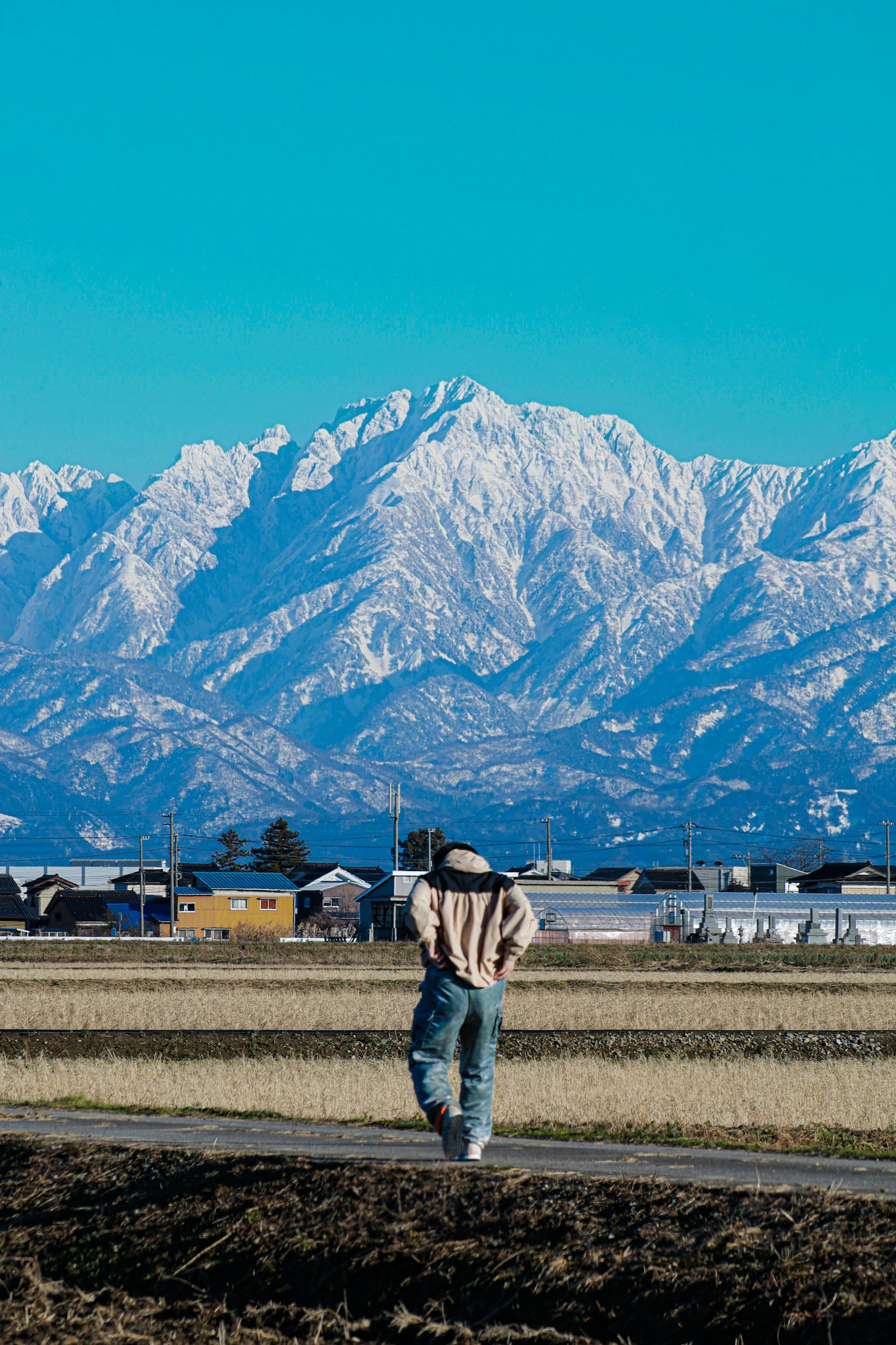Persona caminando en un campo con montañas nevadas al fondo