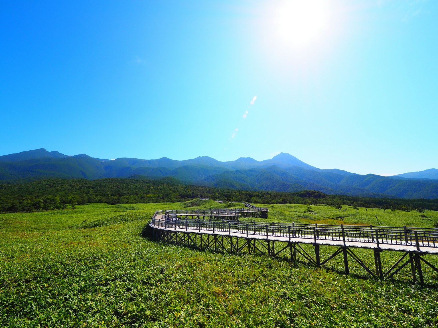 Pasarela de madera a través de un campo verde exuberante bajo un cielo azul claro y un sol brillante con montañas a lo lejos