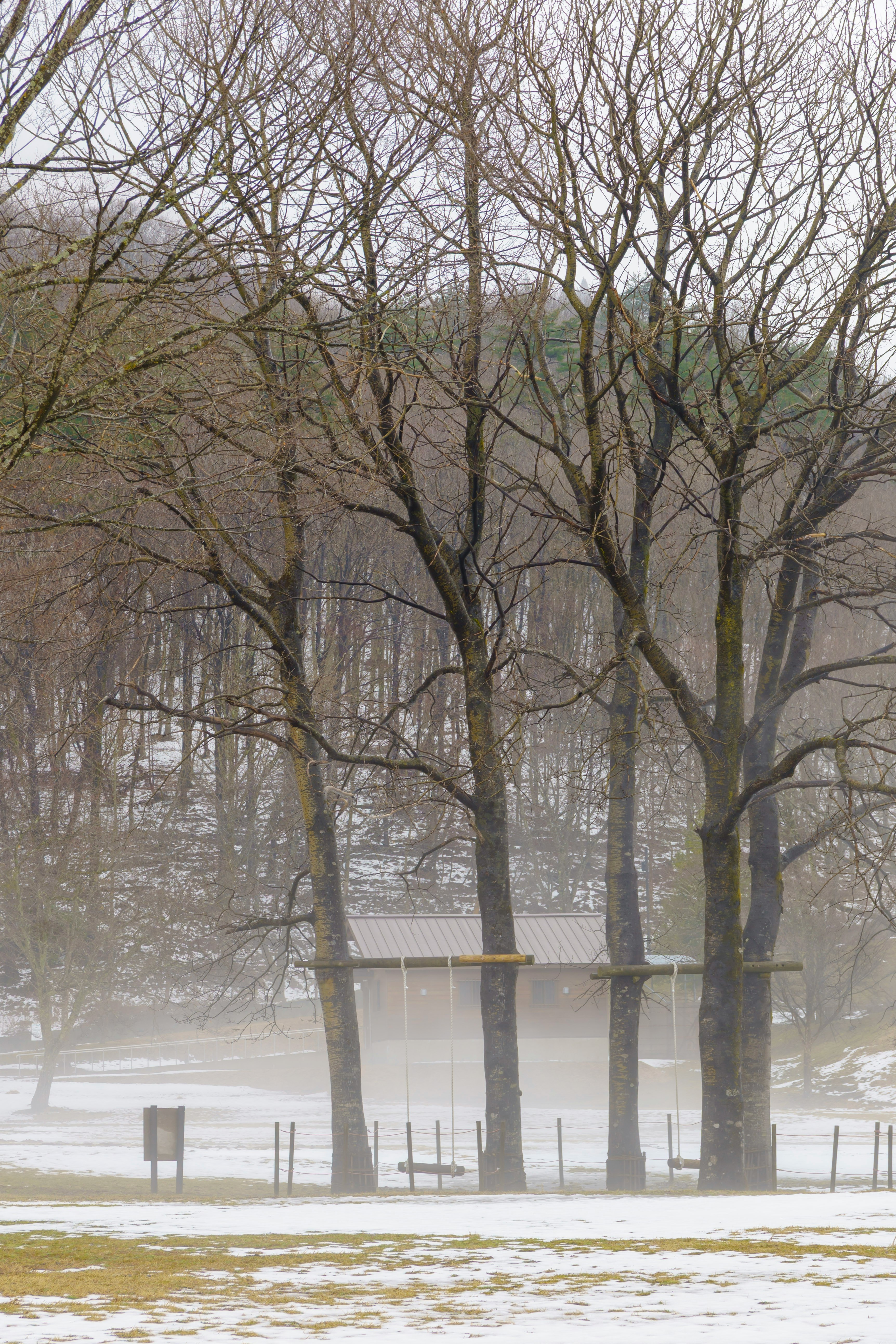 Parque de invierno con niebla, árboles desnudos y bancos