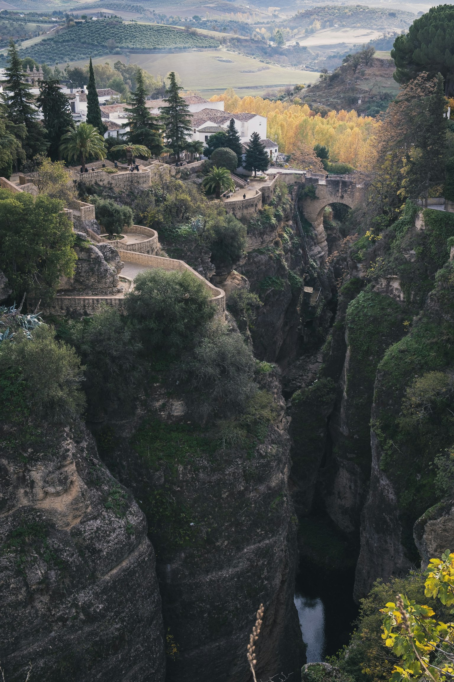 photo-qFjIfWJ7jLFsfzC61xlx-image