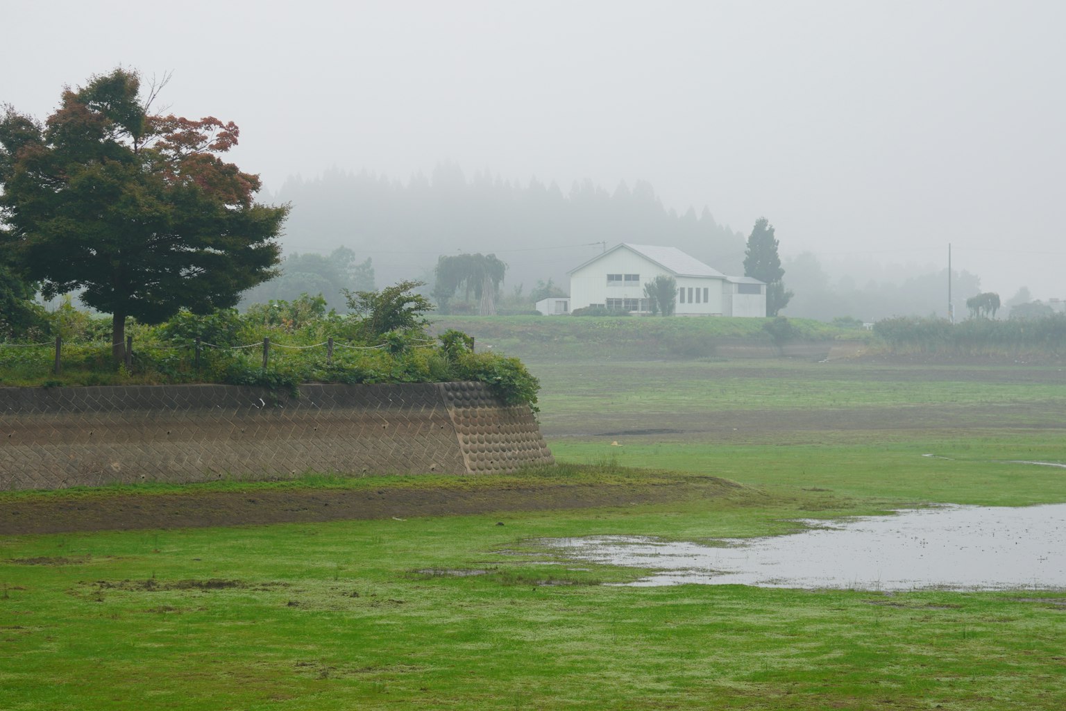 Paisaje rural brumoso con hierba verde y una casa blanca