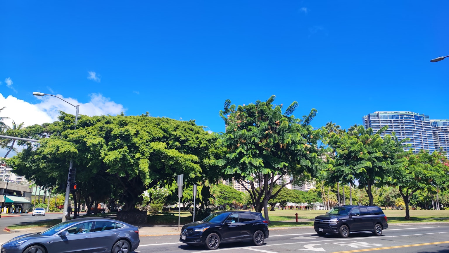 Vista di strada con alberi rigogliosi e auto sotto un cielo blu chiaro