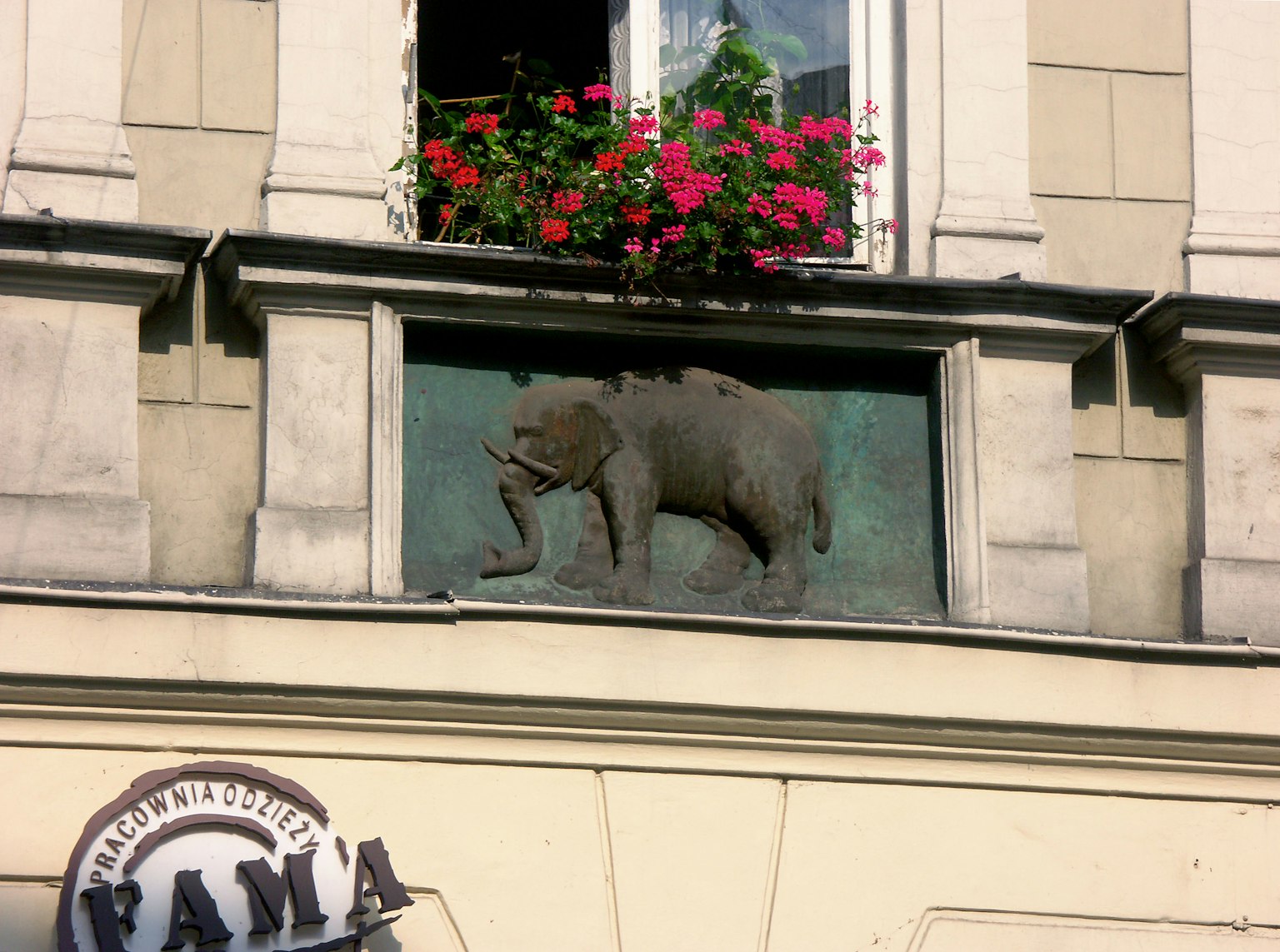 Scultura in bronzo di un maiale su una facciata di un edificio con piante fiorite in una finestra