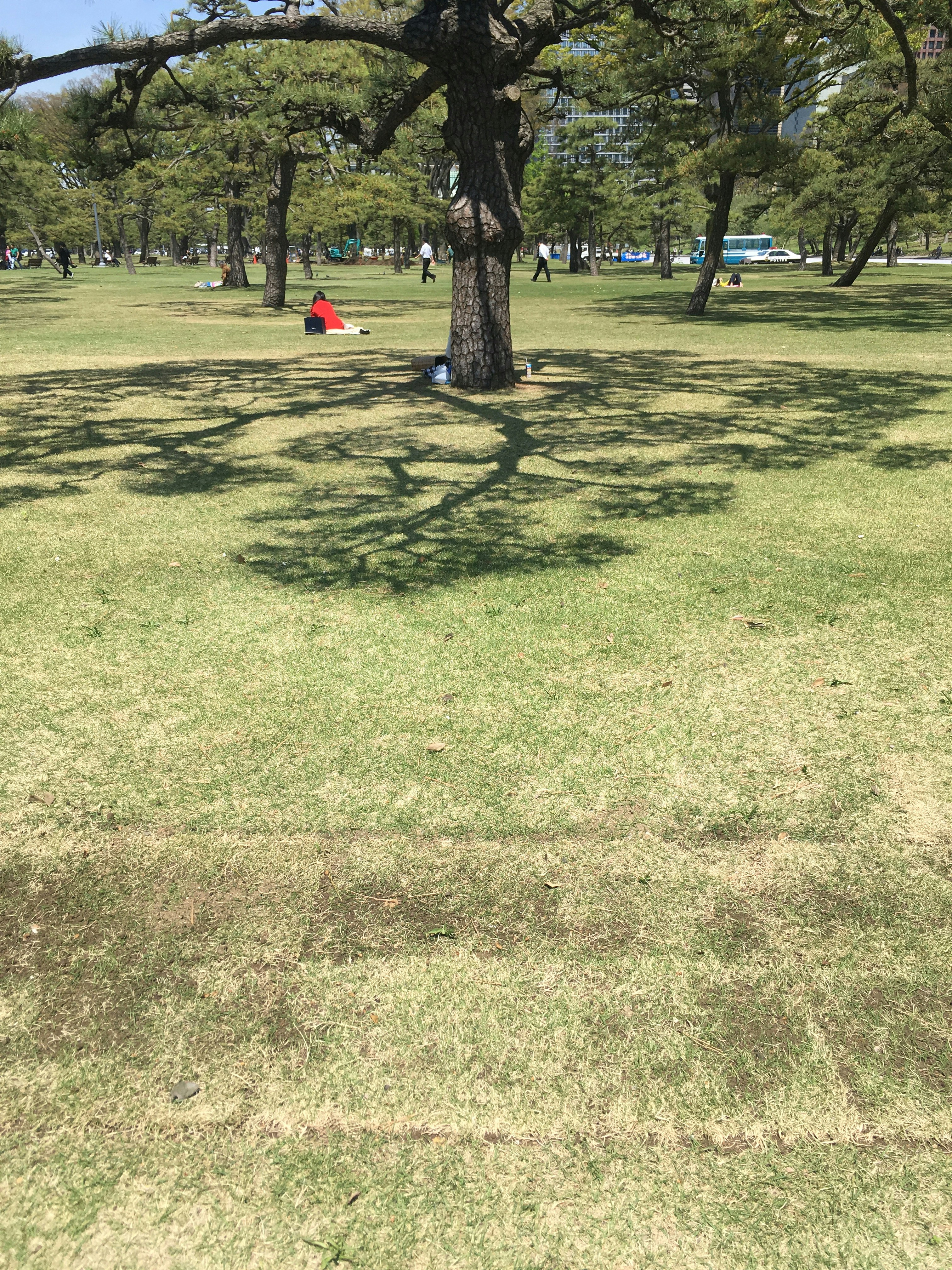 gran parque verde con árboles y gente paseando